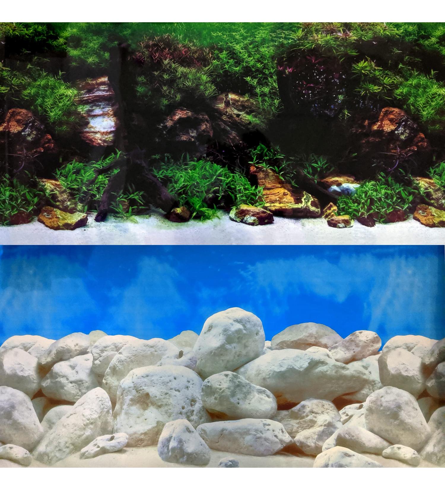Aquacadabra Repeating Double Aquascape Aquarium Background (19" height) 24" length 24" Length Double Aquascape