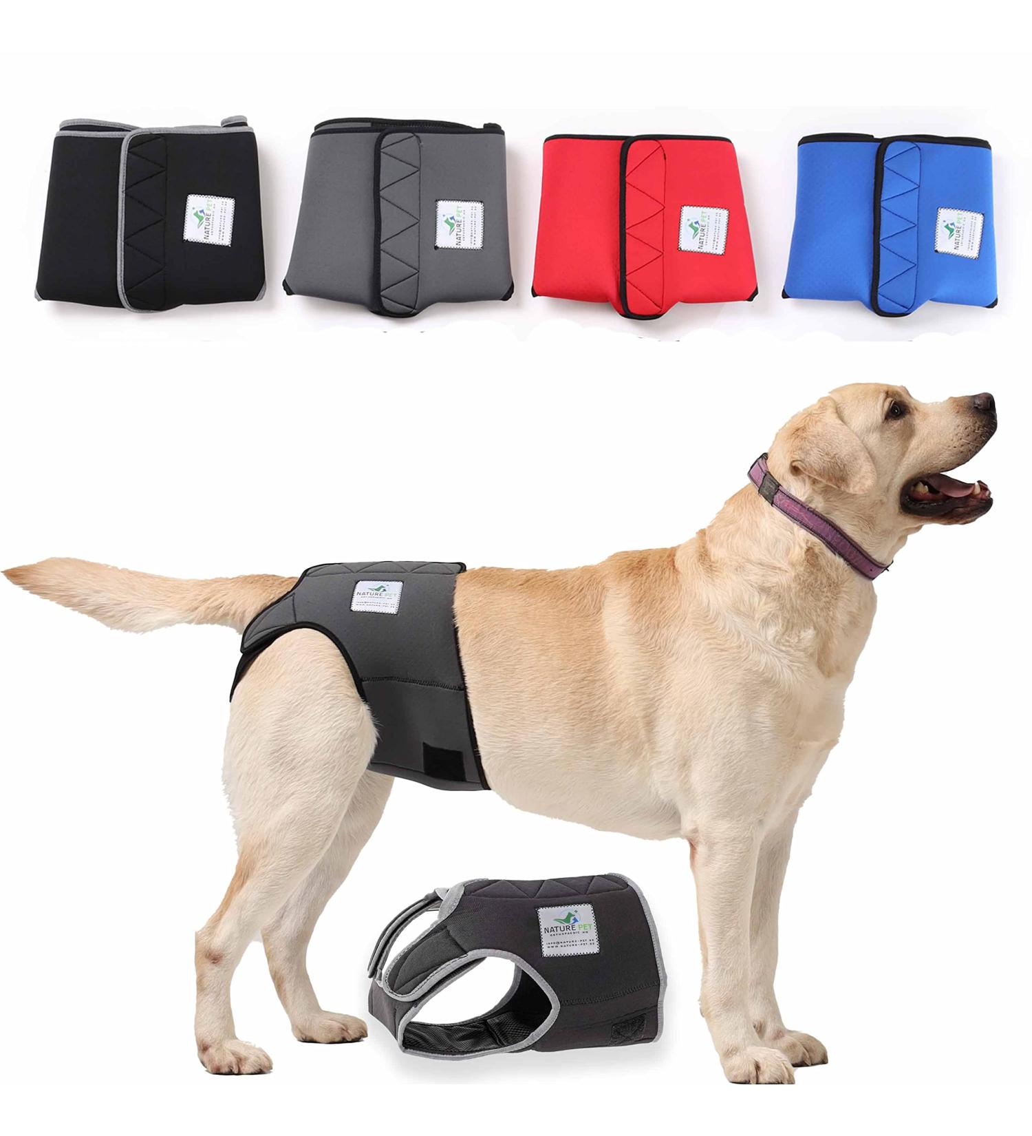 Nature PET - 2.0 Funeral Pants for Dogs | Soft & Hygienic Dog Diapers for Male Incontinence (XS-L) - Black (1 Pack) - Buy Online on GoSupps.com