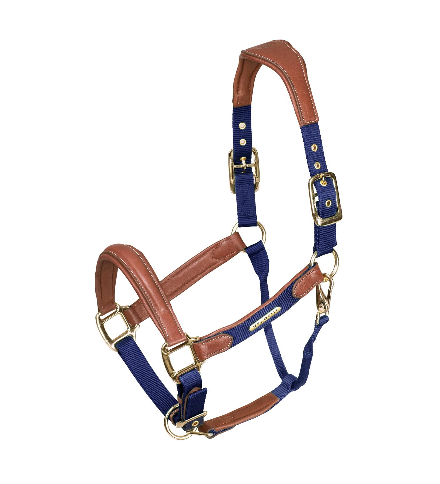 Shires Velociti Lusso Padded Leather Headcollar Navy Blue Cob - Buy Online on GoSupps.com