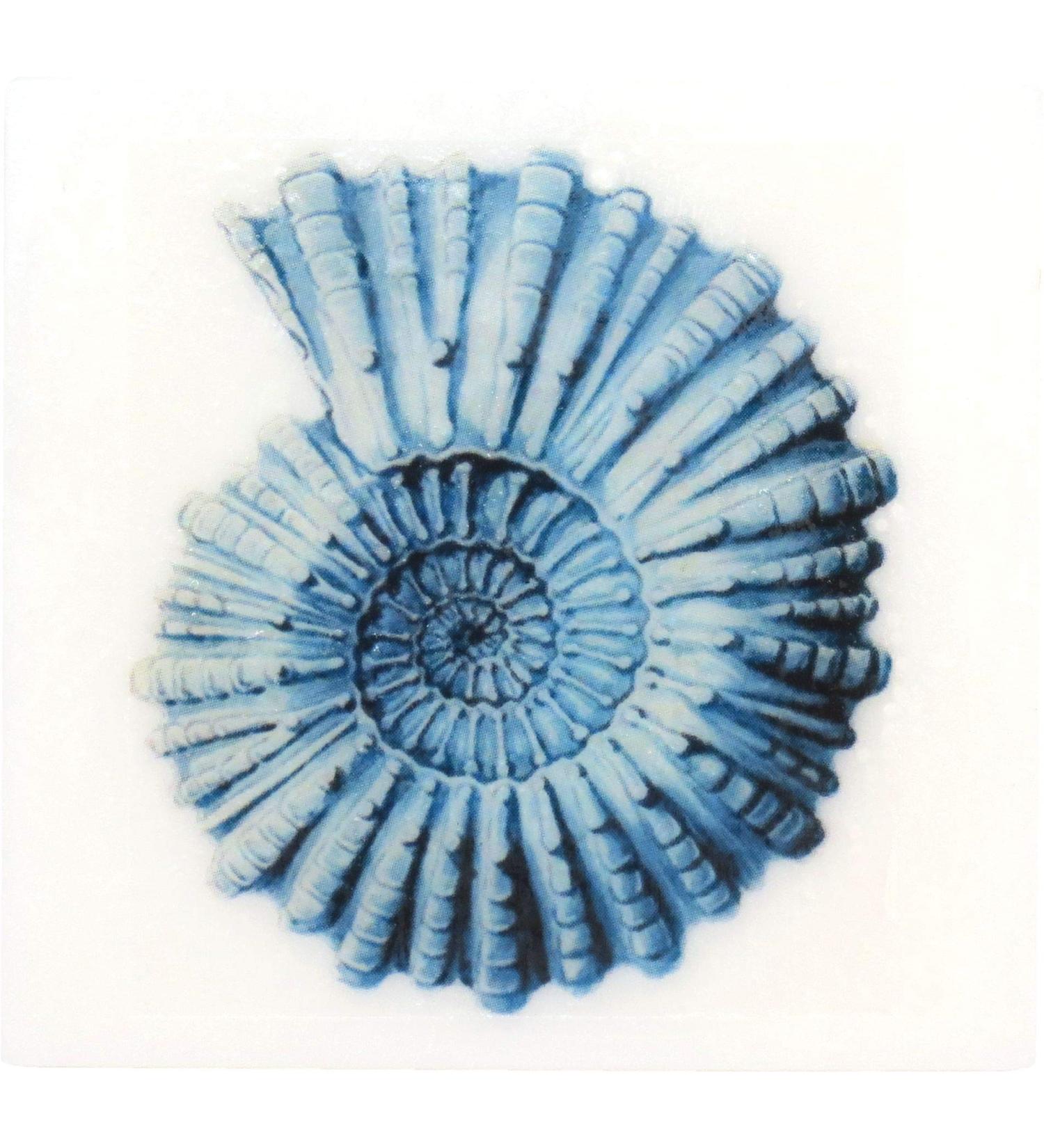 Buy Eclectic Lady Hyacinth Scented Glycerin Soap - Vintage Ocean Creatures & Spiral Shell - International Shipping - Buy Online on GoSupps.com