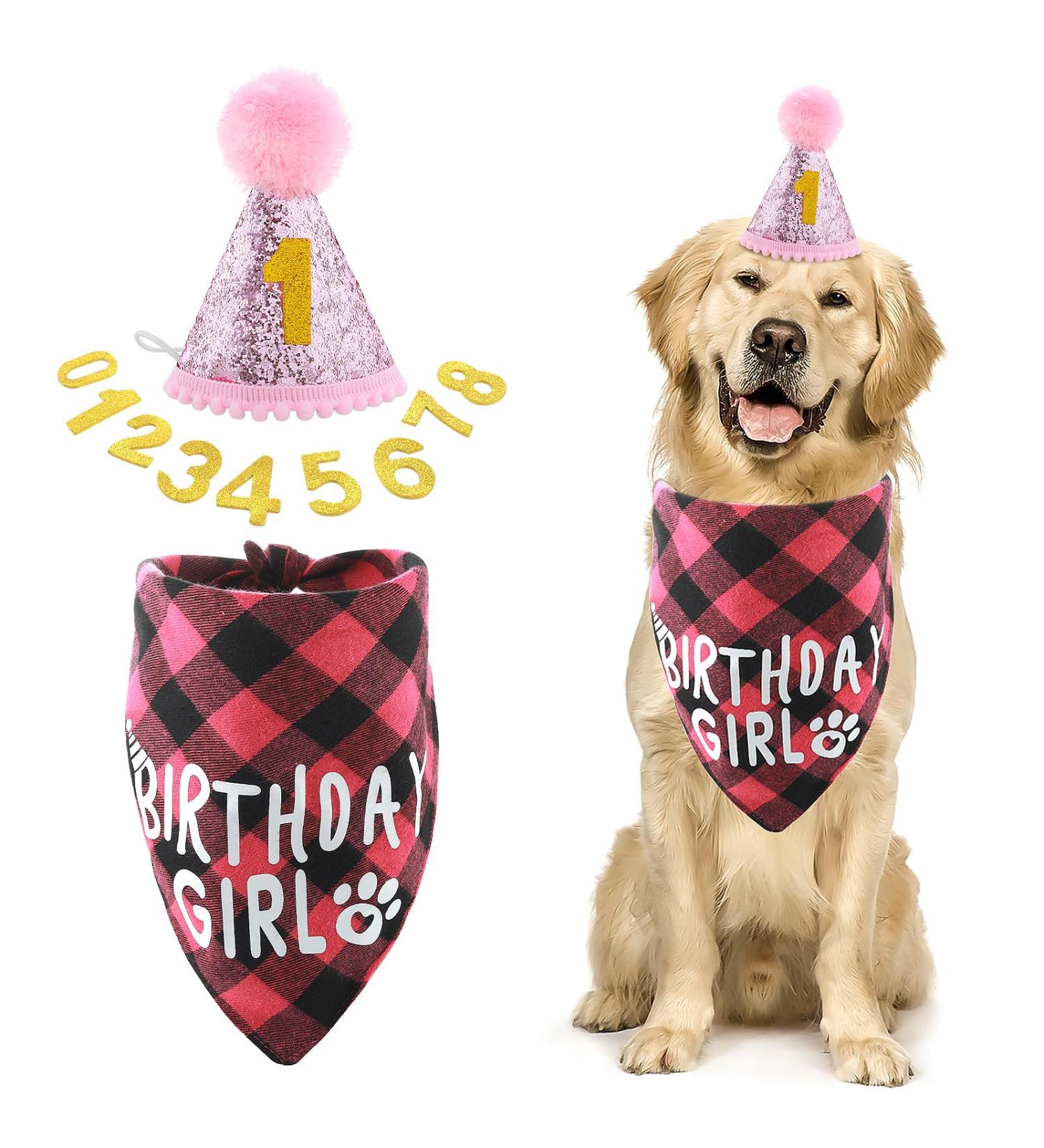Cobee Dog Birthday Bandana Set | Dog Birthday Hat & Tie | Pink Dog Accessories for Puppy & Cat Party - Buy Online on GoSupps.com