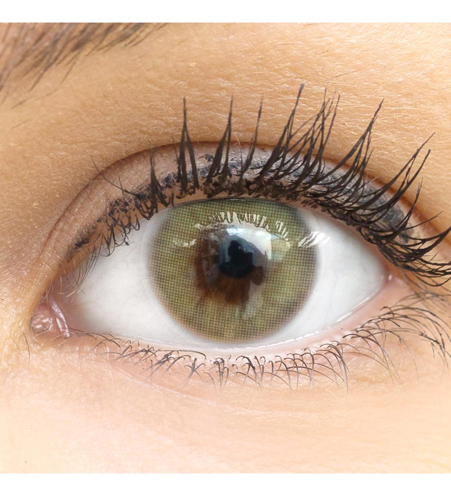 Glamlens Jasmine Light Green Contact Lenses | Strong Coverage Natural Color | Silicone Hydrogel Monthly Lenses | -2.00 Diopters | 1 Pair (2 pcs) - Buy Online on GoSupps.com