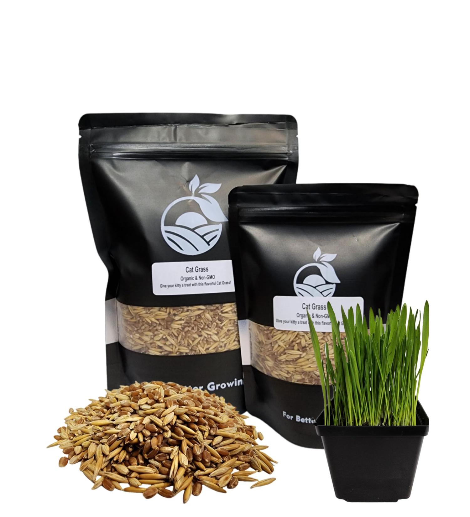 Organic Cat Grass Seeds Non-GMO A Mixture of Wheat Oats and Barley (800g) 800 g (Pack of 1) - Buy Online on GoSupps.com