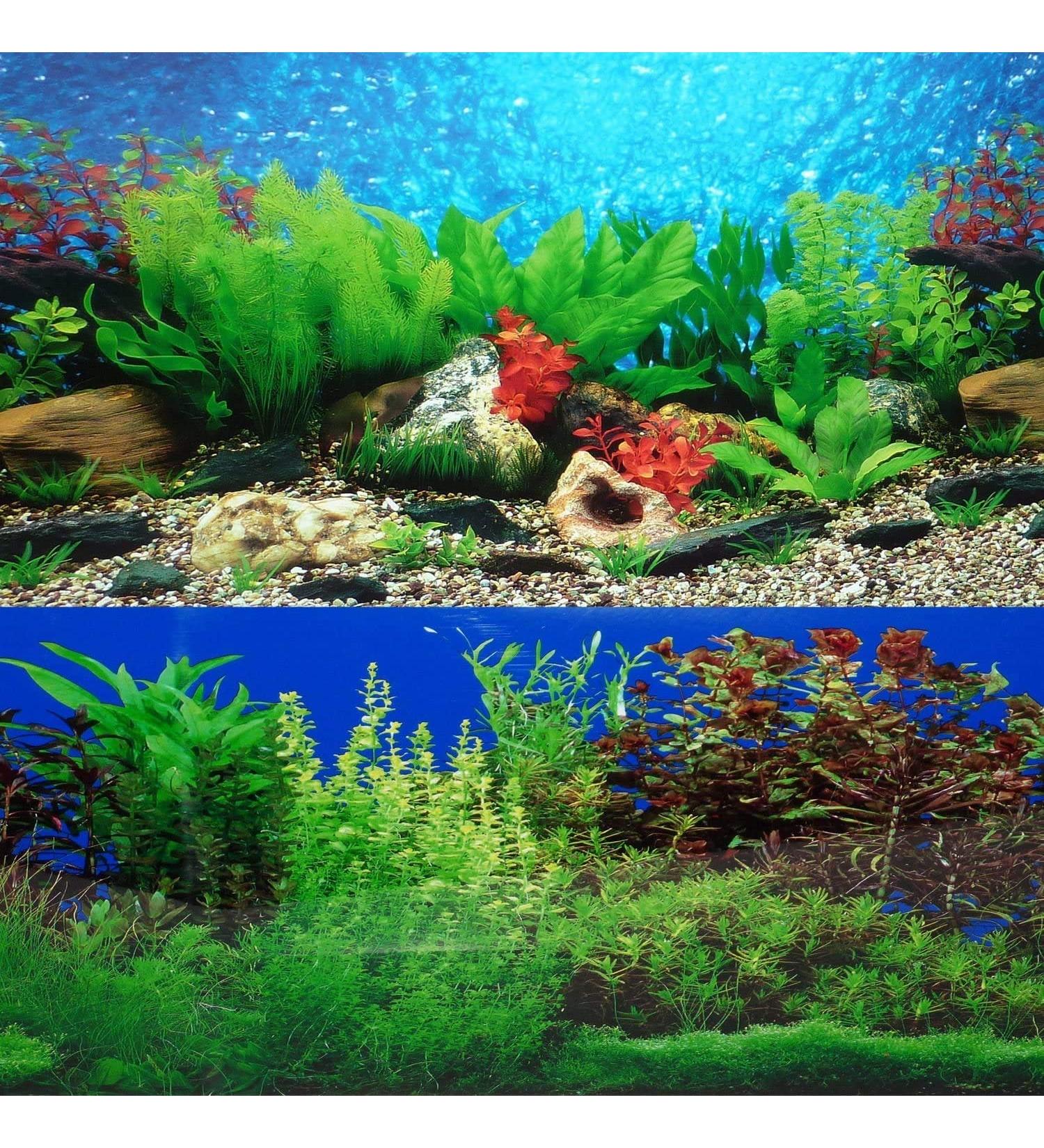 ELEBOX 20x48 Fish Tank Background - 2 Sided River Bed & Lake Aquarium Decor - H 19.5 x L 48 - Premium Quality - Buy Online on GoSupps.com
