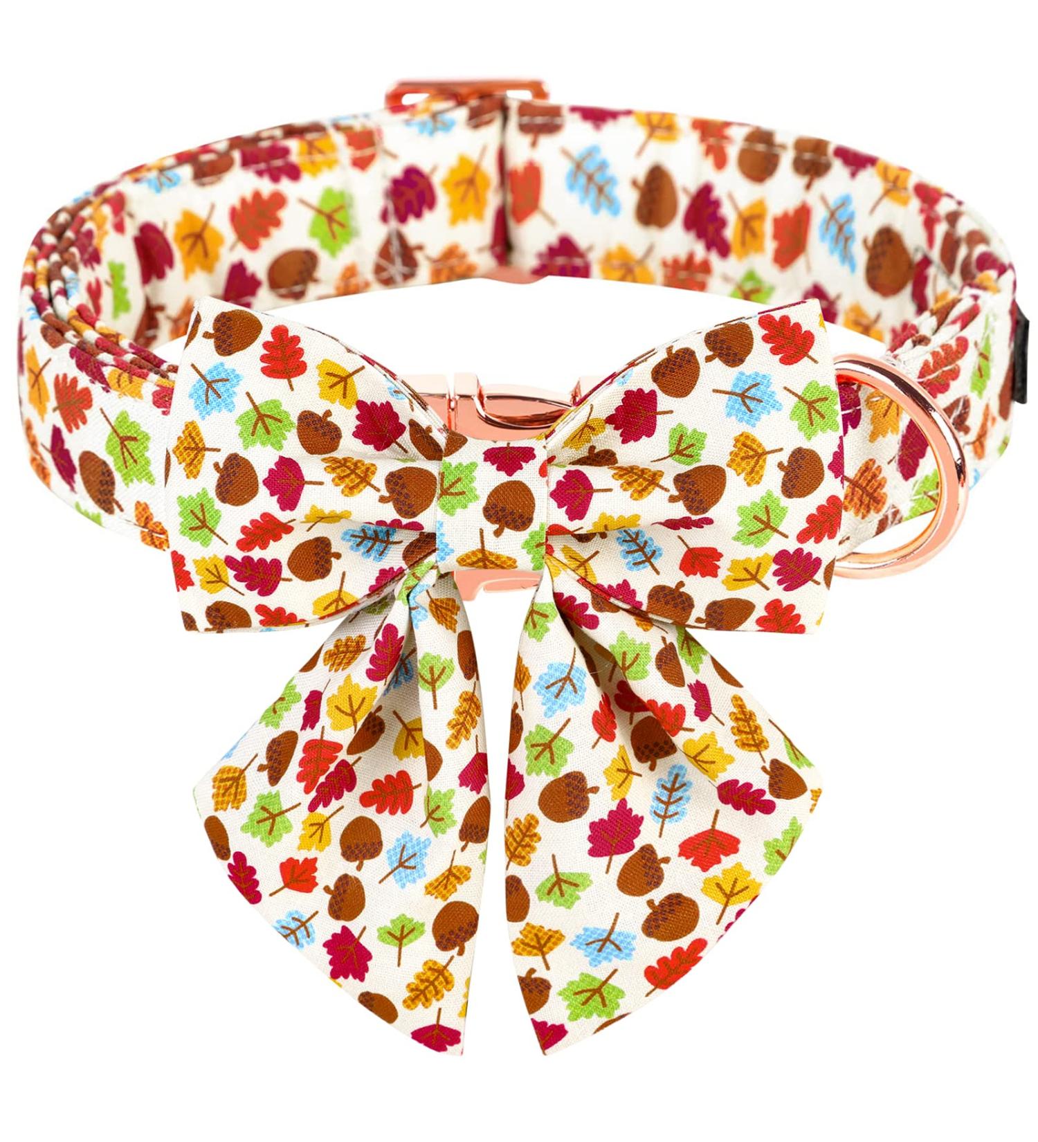 Shop Autumn Dog Collars | Adjustable Pet Collars with Removable Fly for All Dog Sizes - Stylish & Durable - Buy Online on GoSupps.com