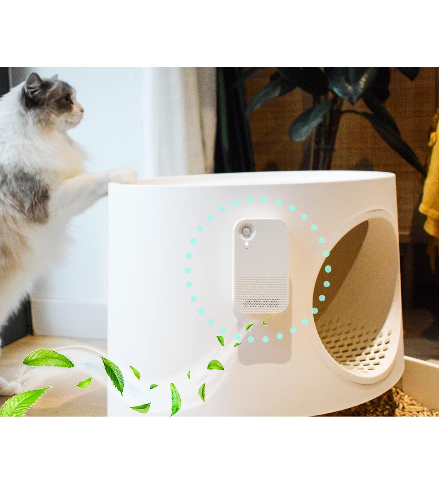 Doxie Pet Odor Remover & Air Purifier with UV-C Light Deodorizer | Eliminates Germs, Mold, and Pet Smells | Room Freshener for Small Spaces - Buy Online on GoSupps.com