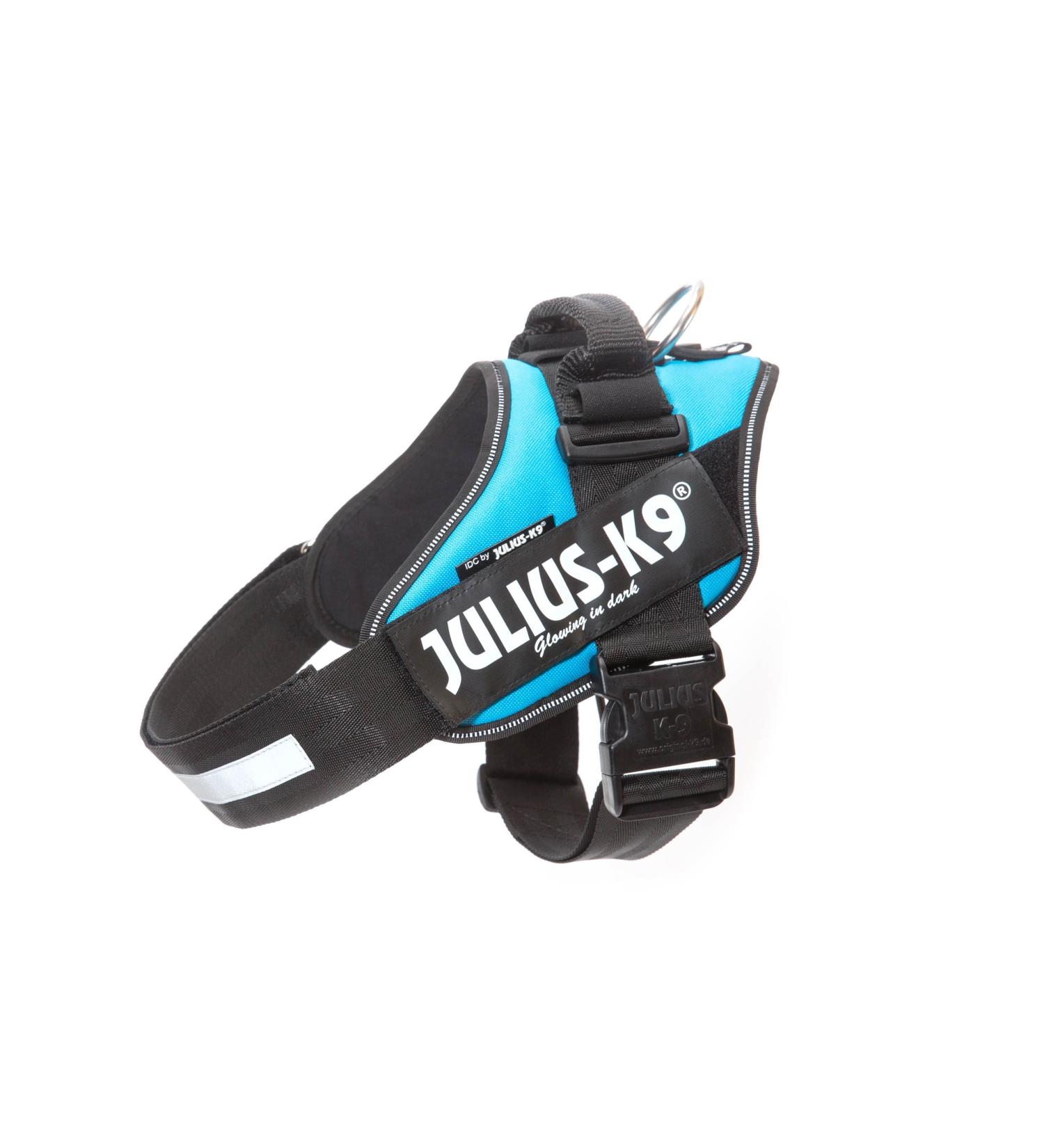 Buy IDC Powerharness XL/2 in Aquamarine | Premium International Shipping Available - Buy Online on GoSupps.com
