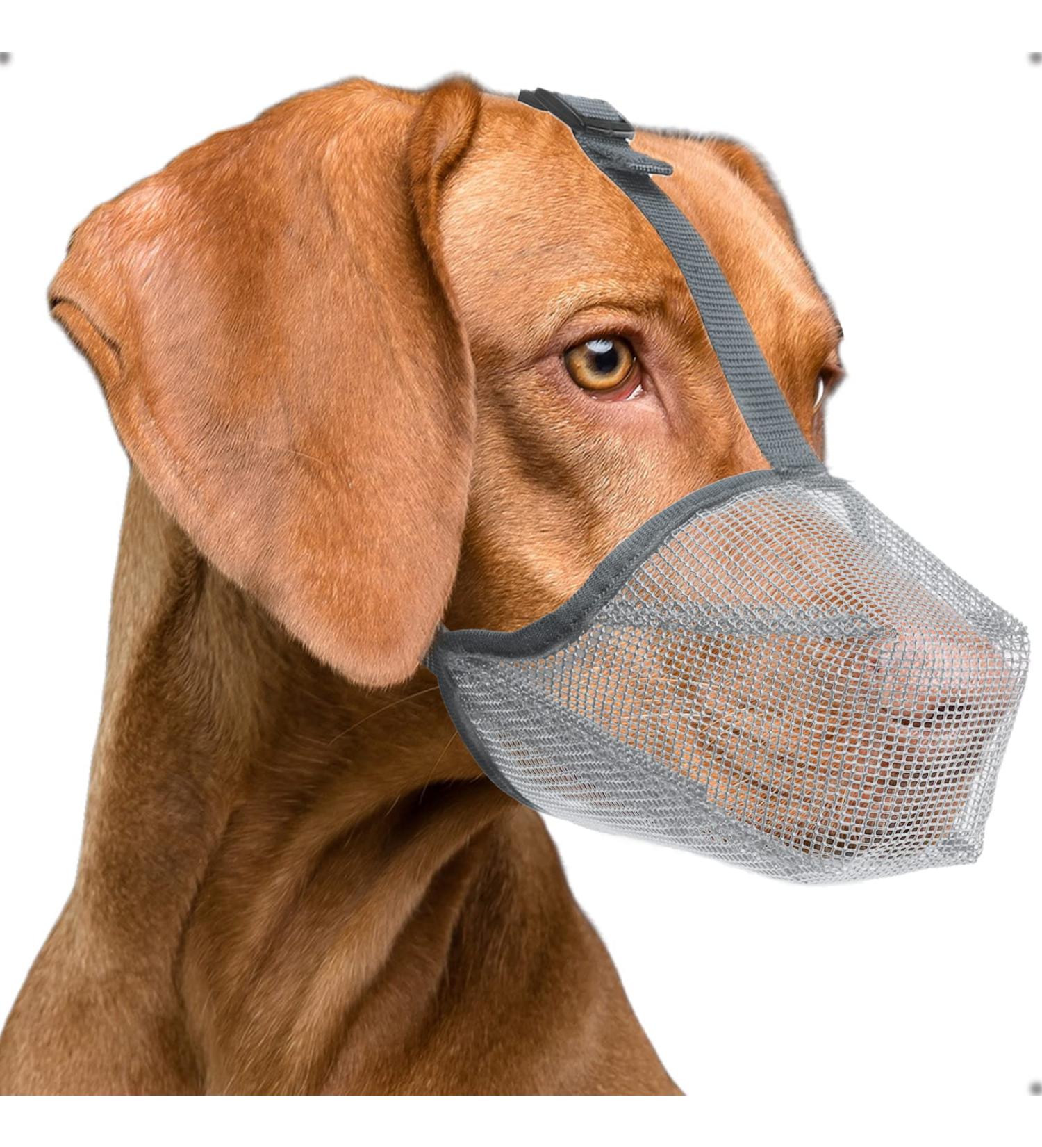 Breathable Dog Muzzle for Small Medium & Large Breeds - Prevents Biting & Chewing - Rounded Mesh Design (S Gray) - Buy Online on GoSupps.com