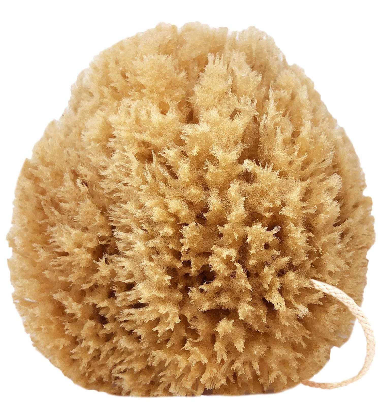 Givereldi Power Exfoliator Natural Sea Sponge - Strong Durable Unbleached Pouf and Scrub with Rope - 100% Organic & Hypoallergenic - Adult Bath Shower Exfoliating Art Pets Gift (Small) 11 cm - Buy Online on GoSupps.com