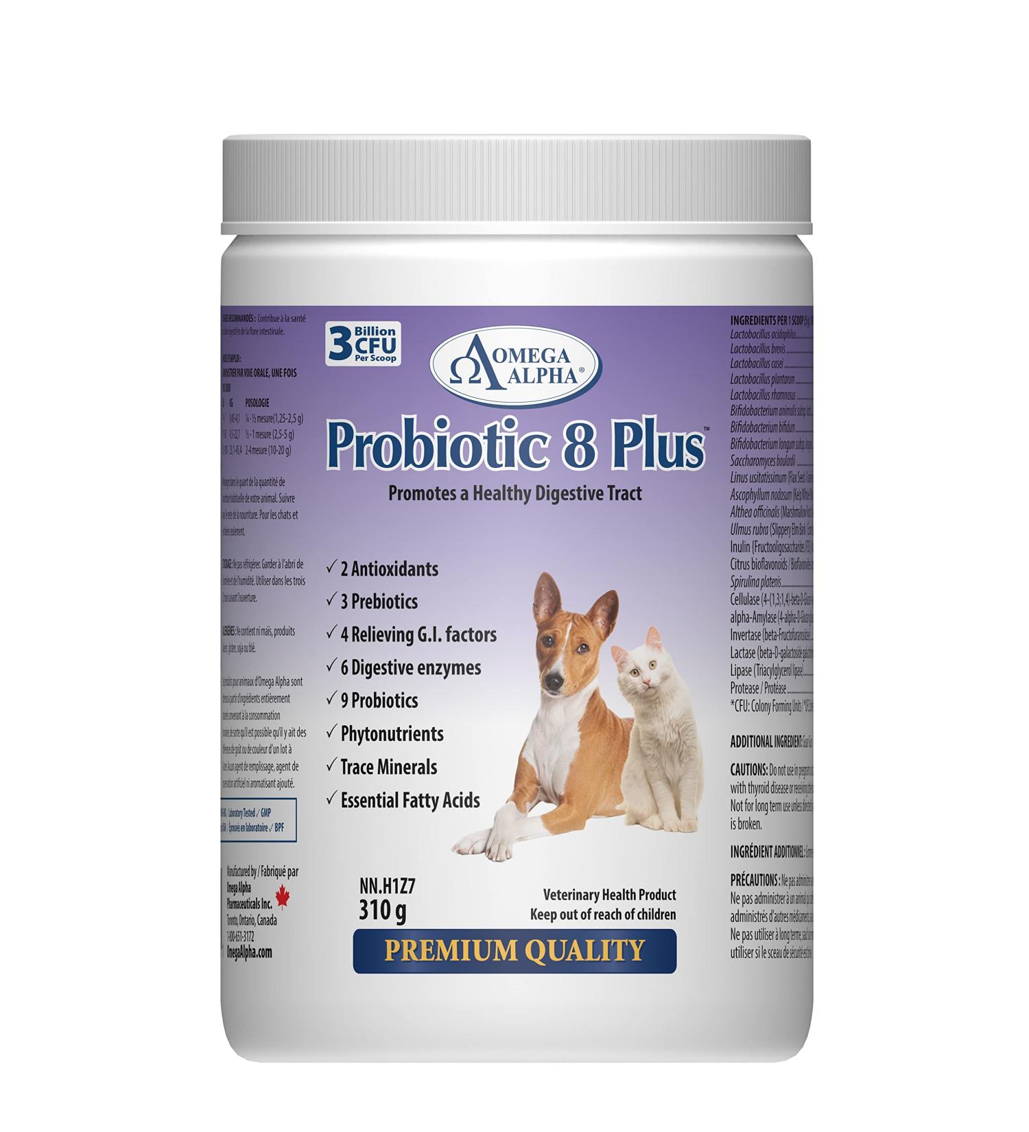 Omega Alpha Probiotic 8 Plus Ensures Peak Digestive Performance 310 g - Buy Online on GoSupps.com