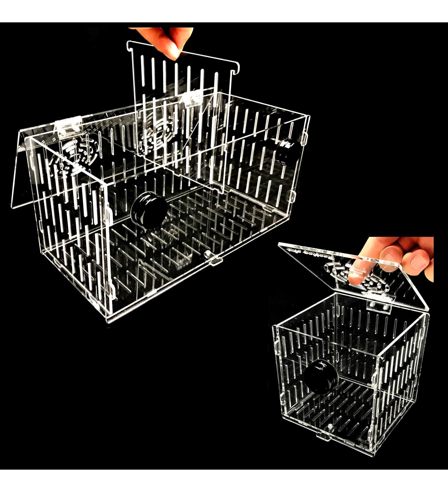 Reefing Art Small Magnetic Acclimation Breeder Box for Anemone & Coral - Strong N52 Magnets, 1/2 Glass, 4.5 Cube - Buy Online on GoSupps.com