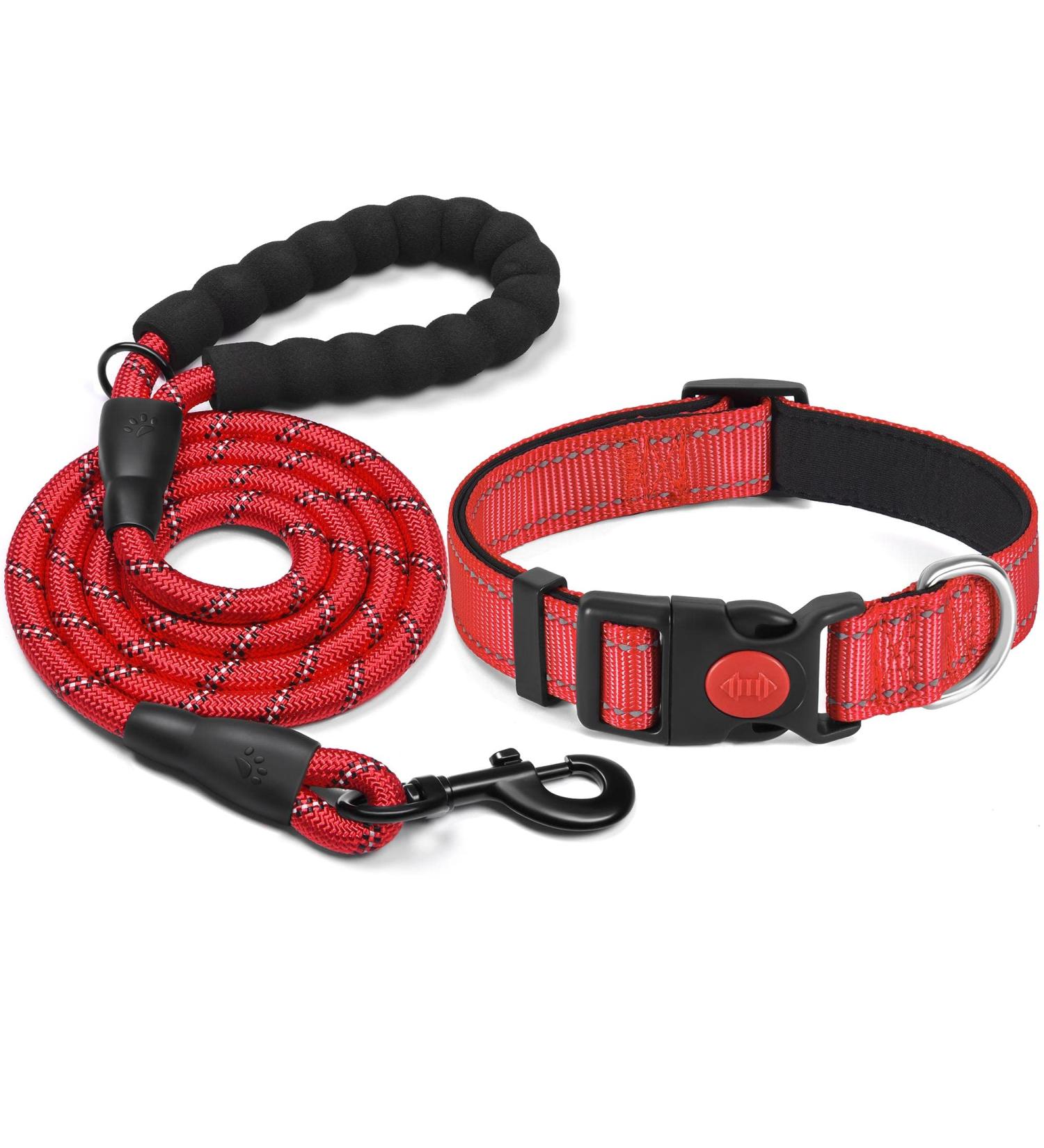 Haapaw Reflecting Dog Collar - Padded Neoprene Breathable Nylon for Small & Medium Dogs - Red (M 1-Pack) - Buy Online on GoSupps.com