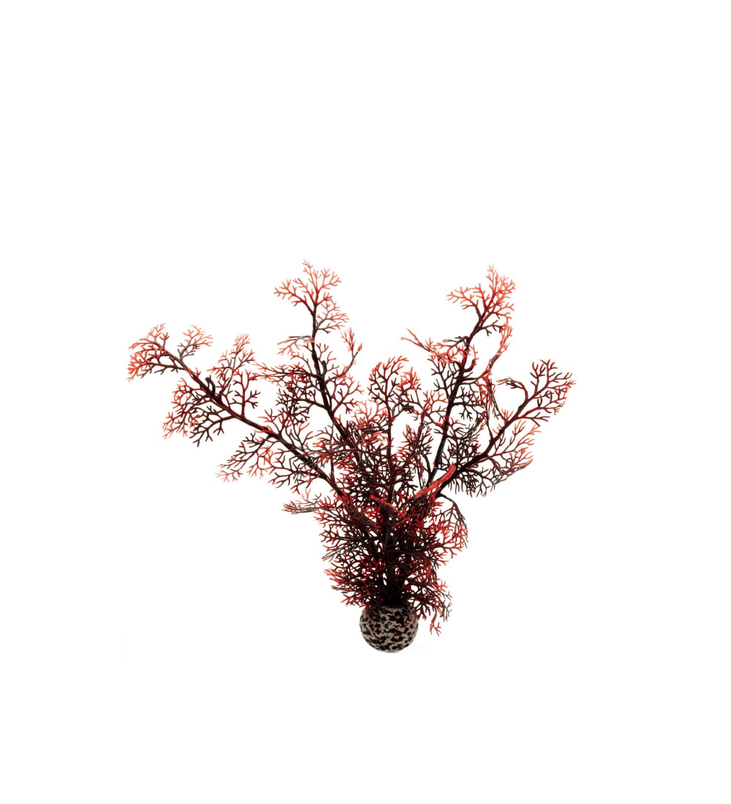 Buy Medium-Sized Dark Red biOrb Horn Corals | Aquarium Decoration Set M - Ship Worldwide - Buy Online on GoSupps.com