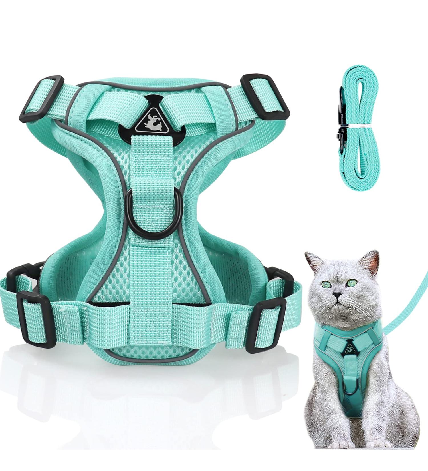 Shop Adjustable Cat Dishes - Mint Green - Perfect for Cats Kittens Dogs & Puppies | International Shipping Available - Buy Online on GoSupps.com