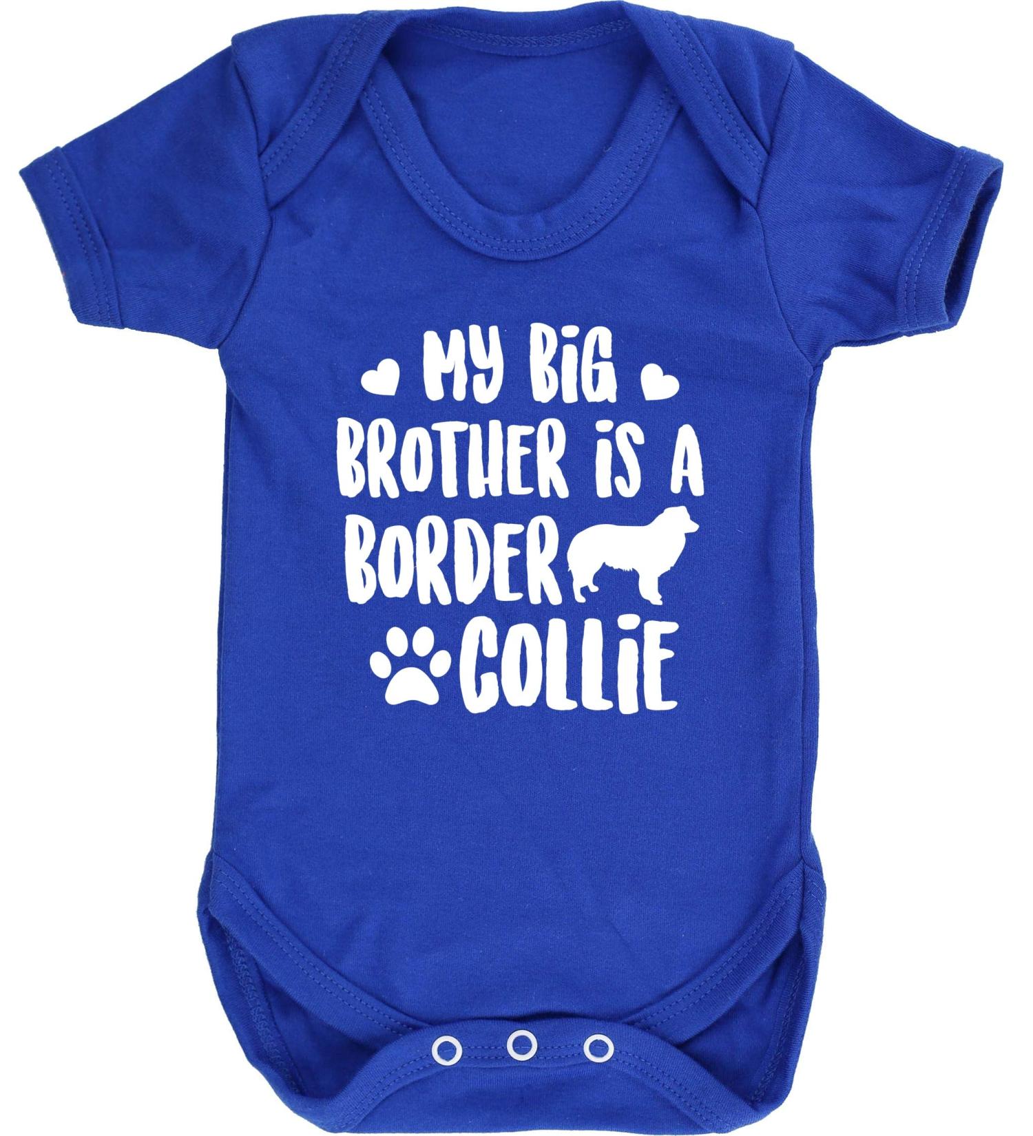 Hippowarehouse Border Collie Big Brother Baby Vest - Short Sleeve Bodysuit for Boys and Girls - Buy Online on GoSupps.com