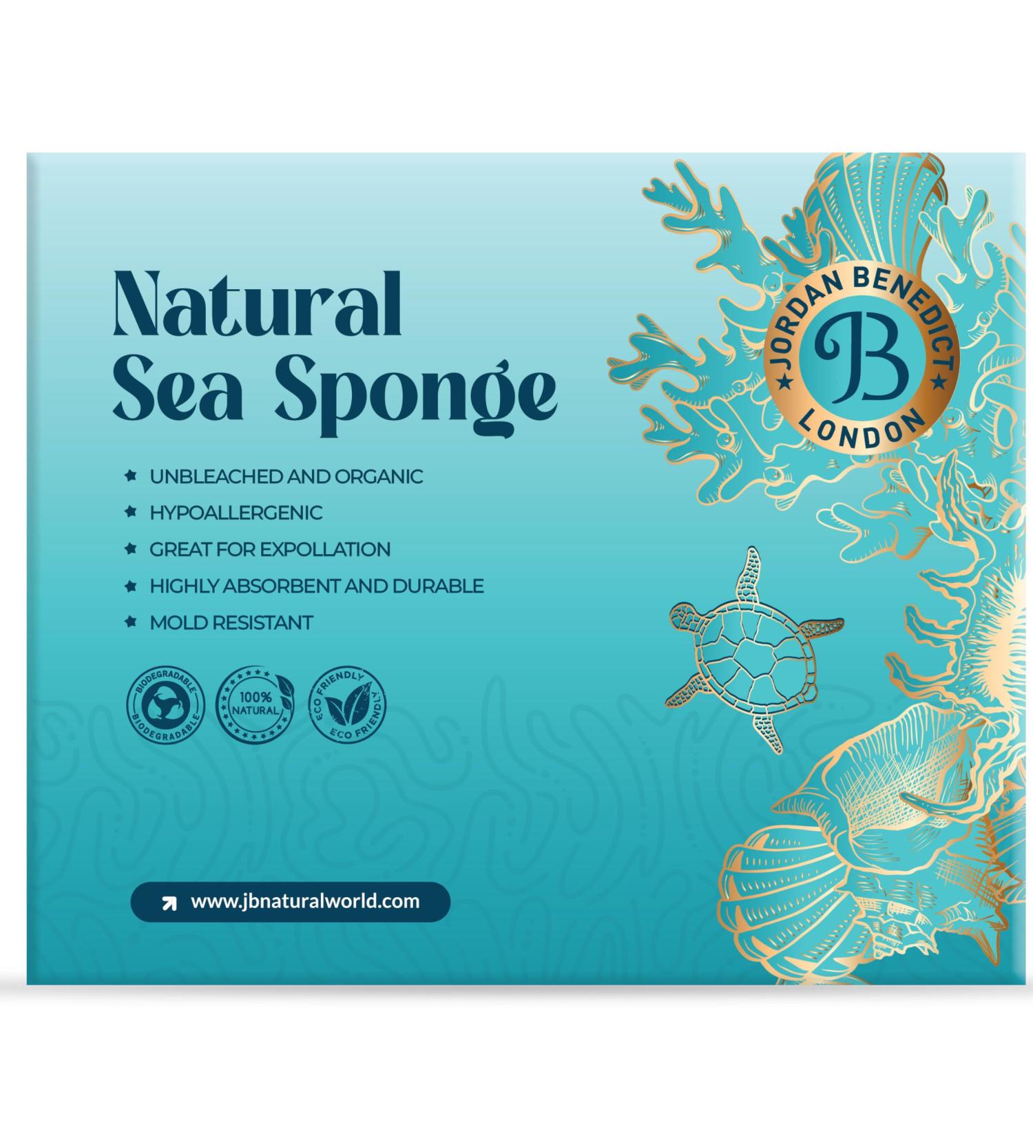 Jordan Benedict Natural Sea Sponge - XXL for Bath and Shower - Pack of 1 - Buy Online on GoSupps.com