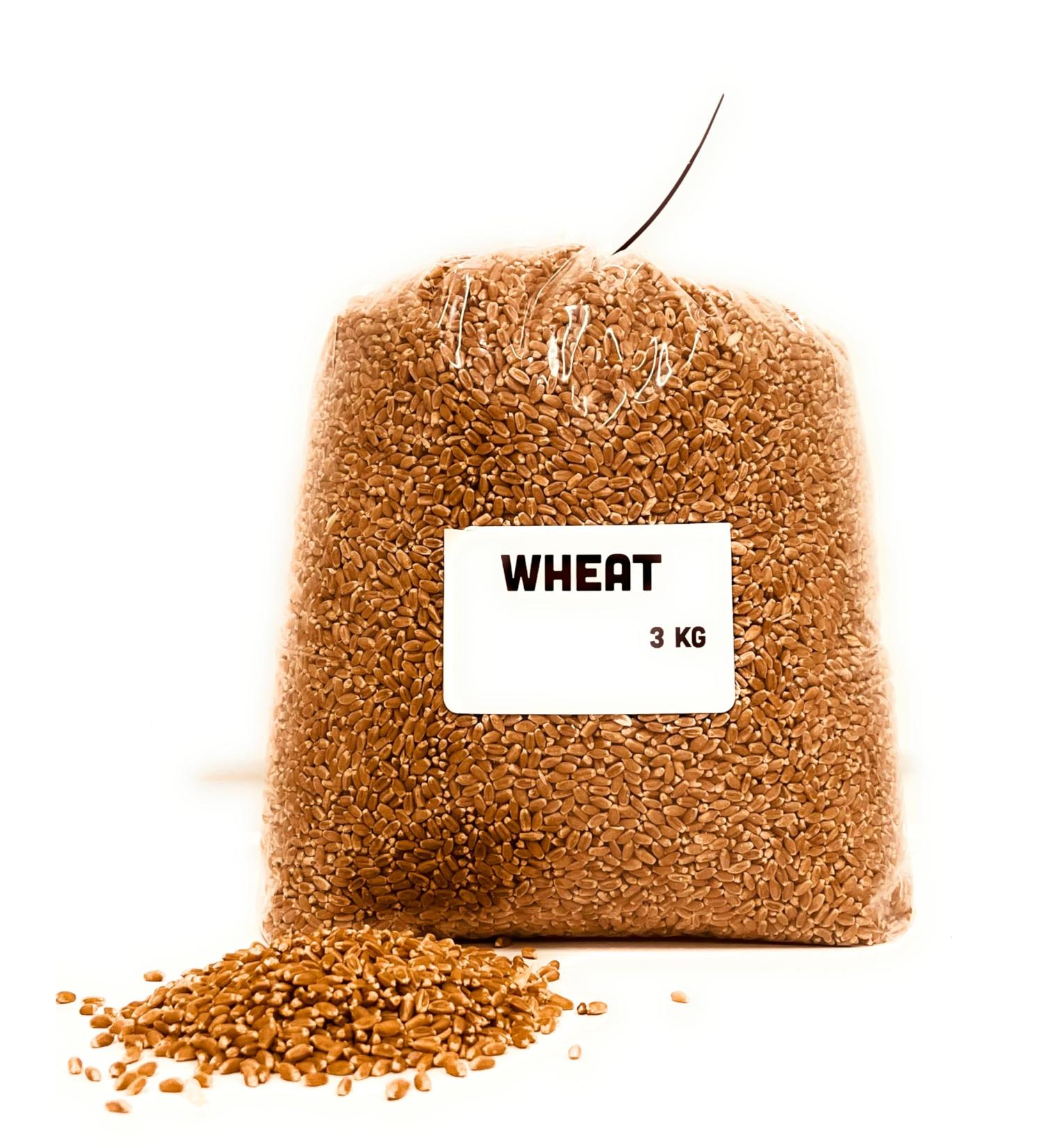 Wheat | 3kgs | Sproutable | for roasting| for cooking | milling for flour | high fiber | Shipping with Sendle - Buy Online on GoSupps.com