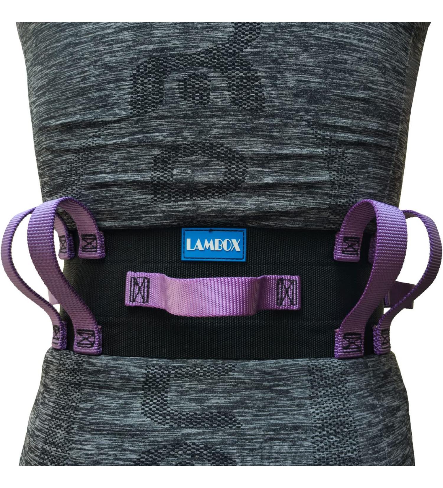 LAMBOX Gait Belt Transfer Belt with 7 Purple Handles & 60 Plastic Release Buckle - Walking Aid for Elderly & Seniors - Therapy Support - Pack of 1 - Buy Online on GoSupps.com