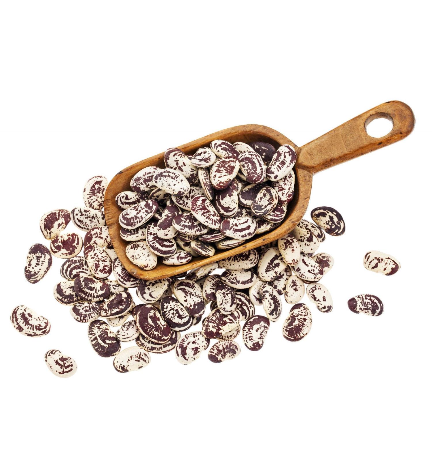 10 Semi Certified Organic Natale Lima Bean High Protein Heirloom di Verdure - Buy Online on GoSupps.com