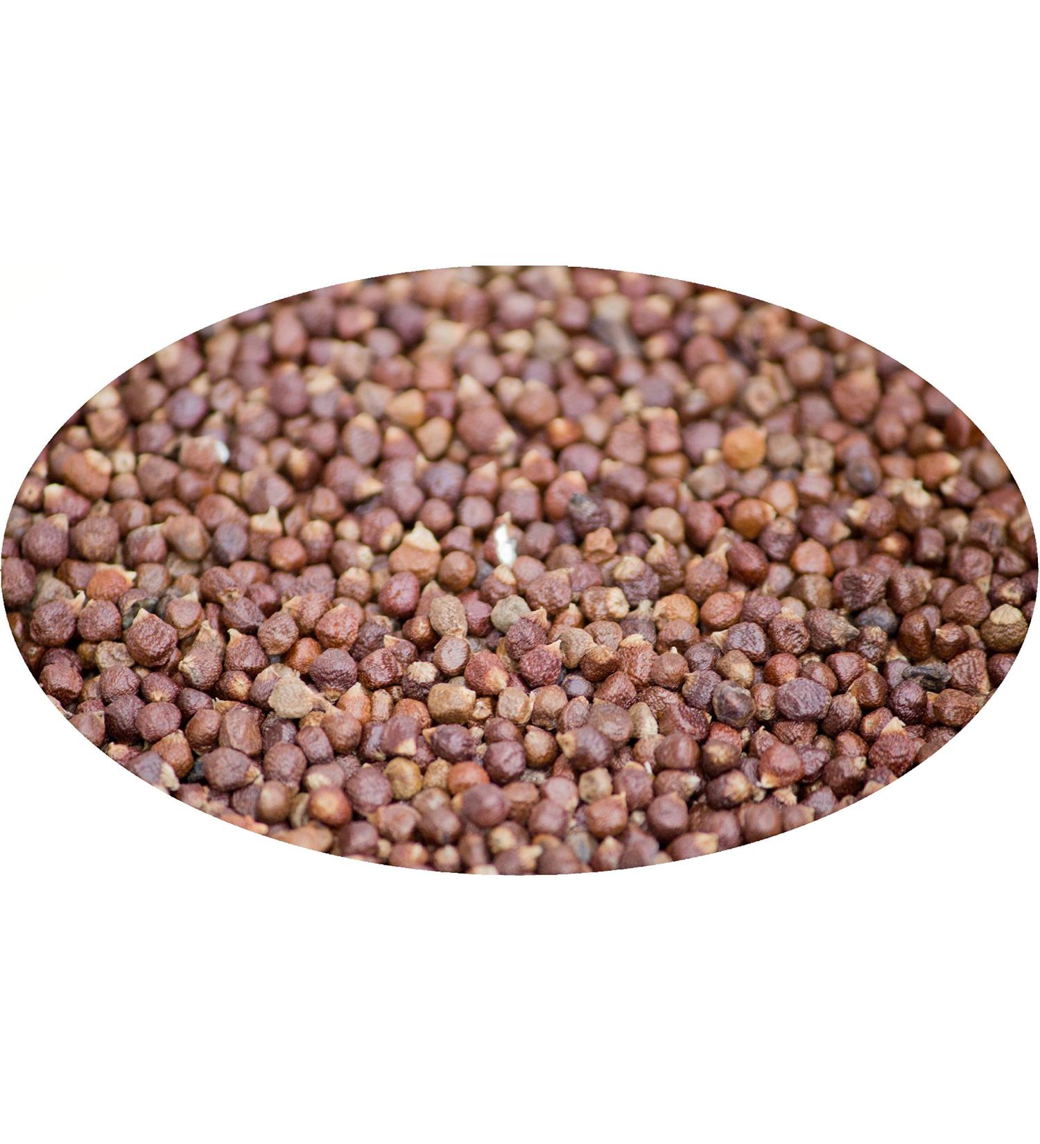 Eder Gew rze - Graines de Paradis - 100g