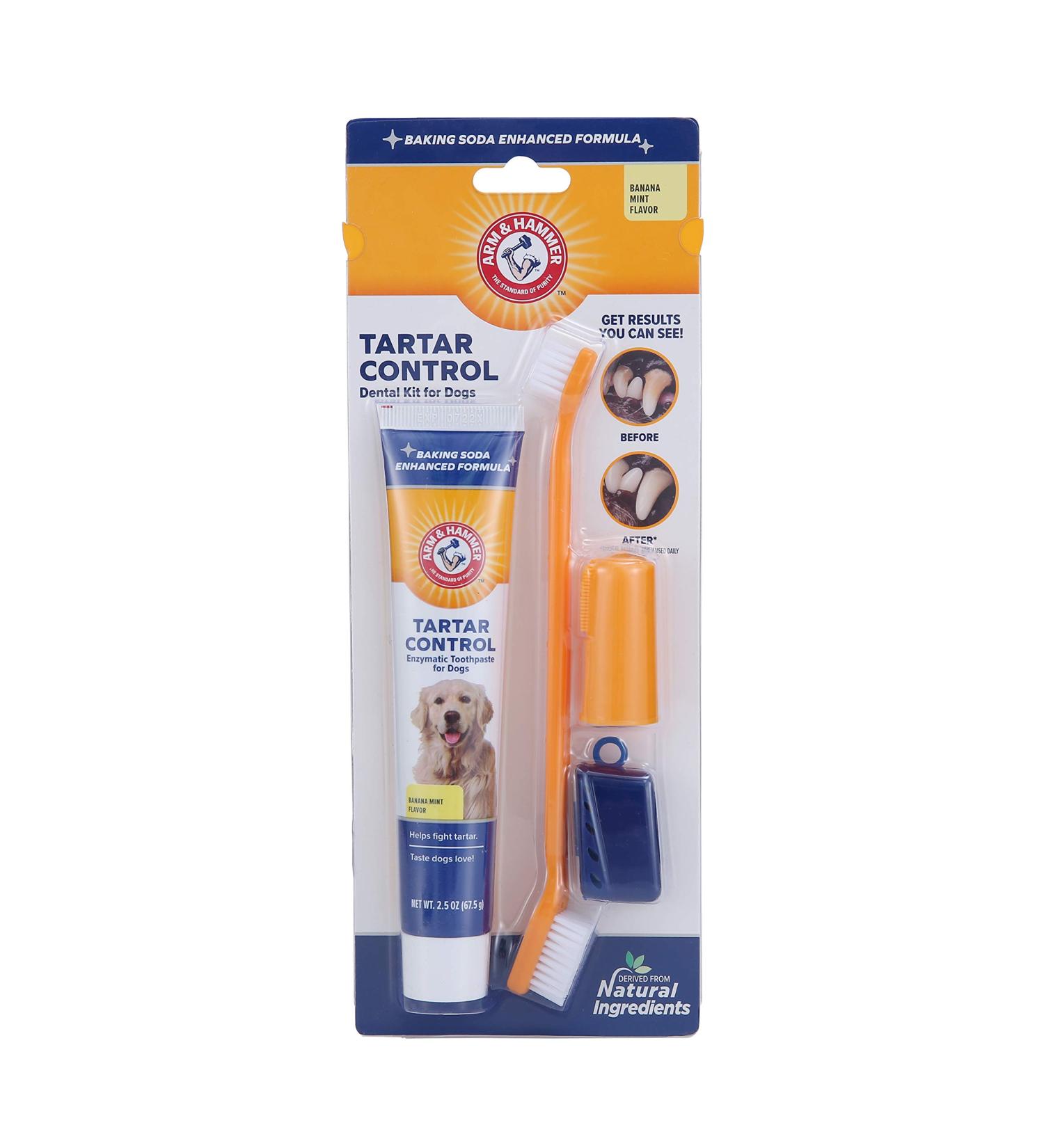Arm & Hammer Tartar Control Dental Kit for Dogs - Banana Mint Flavor - Buy Online on GoSupps.com