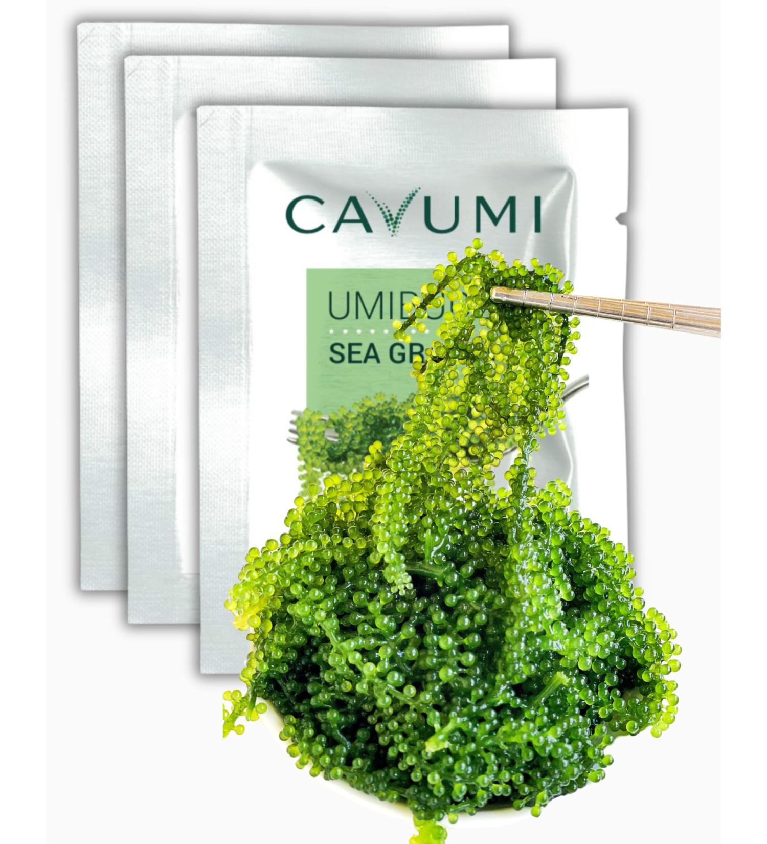 Buy CAVUMI Sea Grapes 3x20g - Crunchy Seaweed Snack | Umibudo Green Caviar Delight - International Shipping Available - Buy Online on GoSupps.com