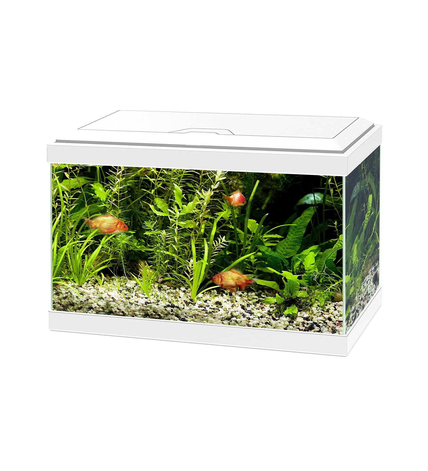 Ciano Aqua 20 Aquarium with LED Lights & Filter WHITE