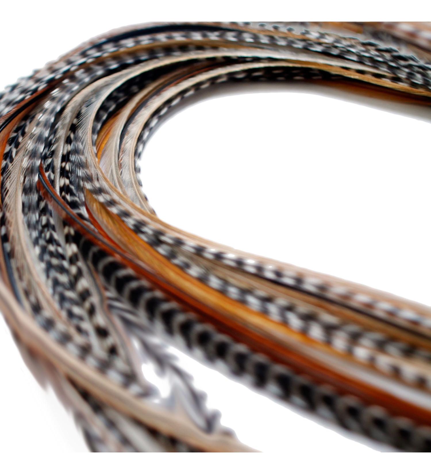 10 XXL Long Real Feather Hair Extensions (Mixed Naturals) - 11-13 inch with Rings & Loop - Buy Online on GoSupps.com