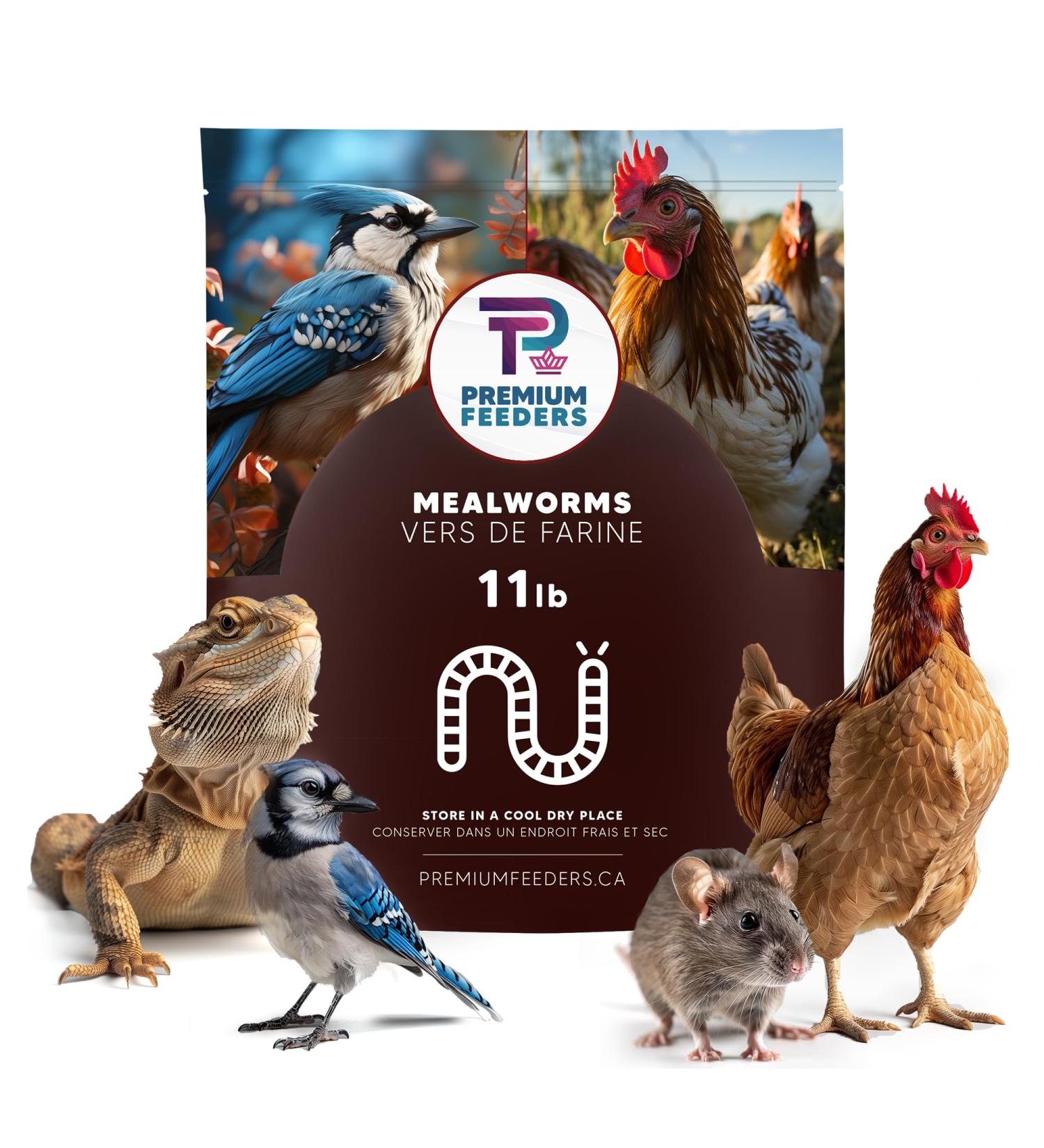 11lb Dried Mealworms by Premium Feeders Approx 175000+ Dried Mealworms - Chicken & Bird Feed - Meal Worms Treats - High Protein Mealworm for Chickens Wild Birds Hens & Small Animals - 5KG - Buy Online on GoSupps.com