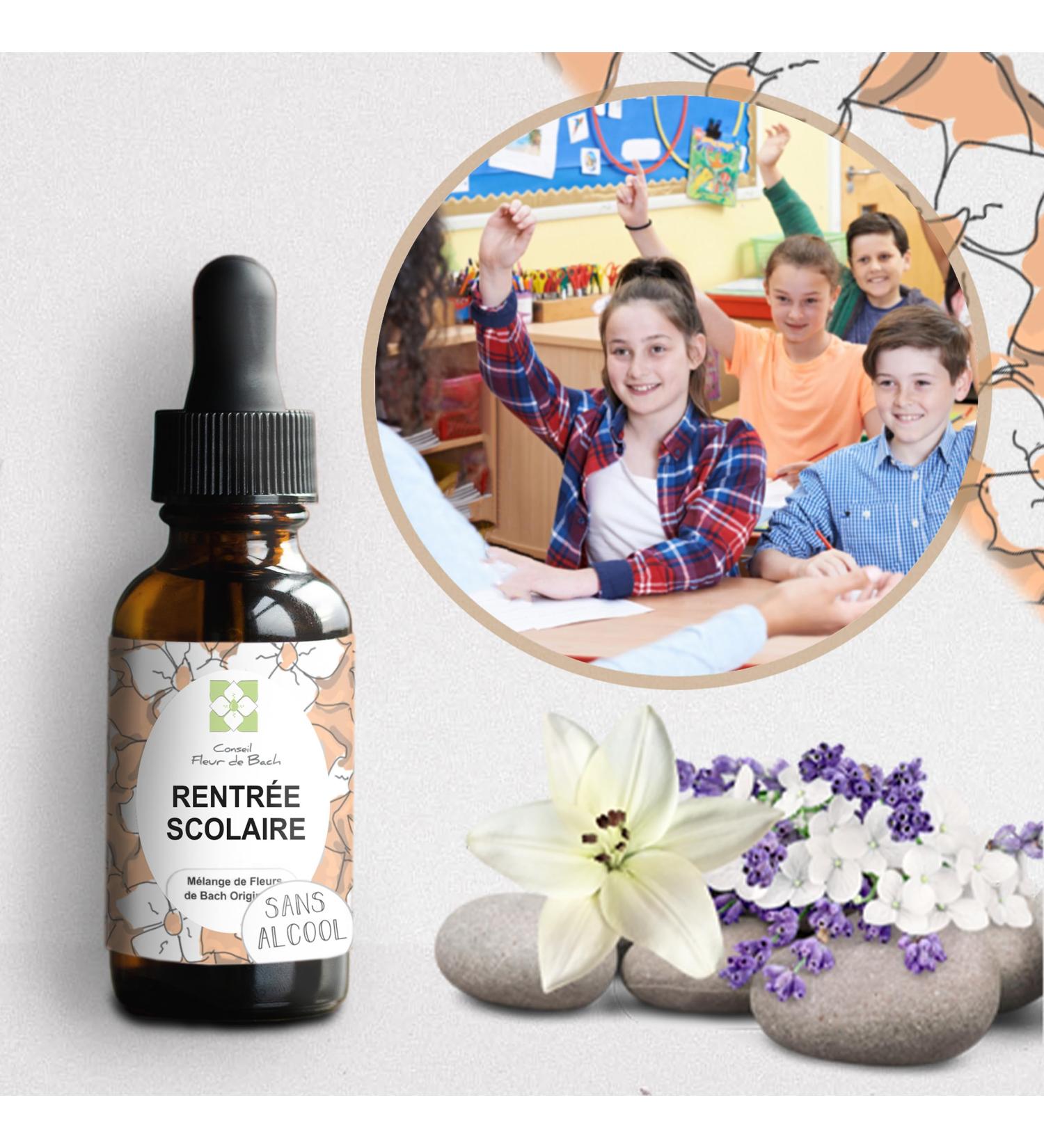  Conseil fleur de Bach Bach Flowers "Alcohol Free" Serene Back to School Help Your Children Live a Pleasant Back to School Without Stress and Anguish.30 ml - Buy Online on GoSupps.com
