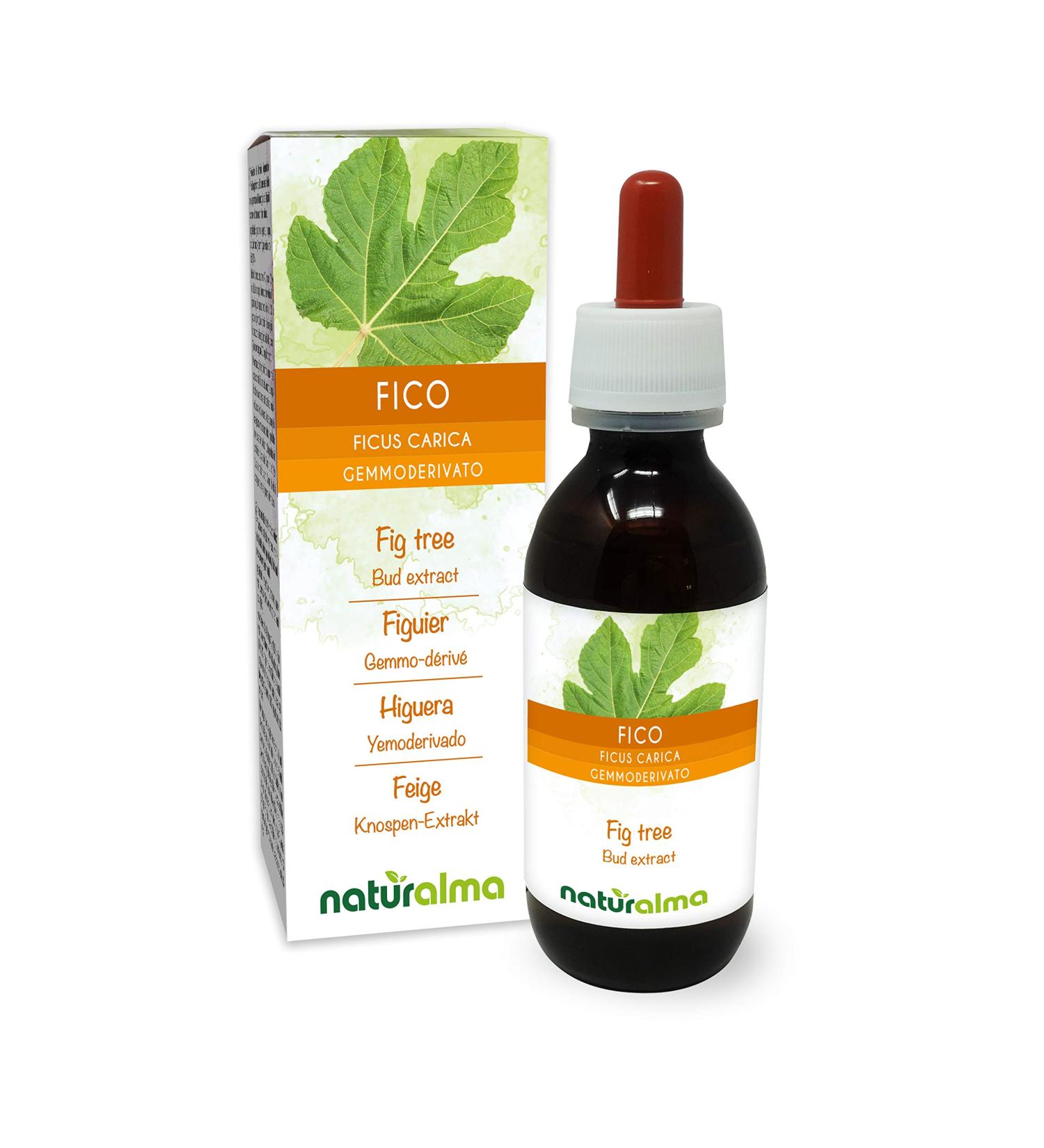 Fig tree (Ficus carica) Gemmo-derived alcohol-free from fresh buds Naturalma - Liquid extract drops 120 ml - Dietary supplement - Vegan or vegan - Buy Online on GoSupps.com