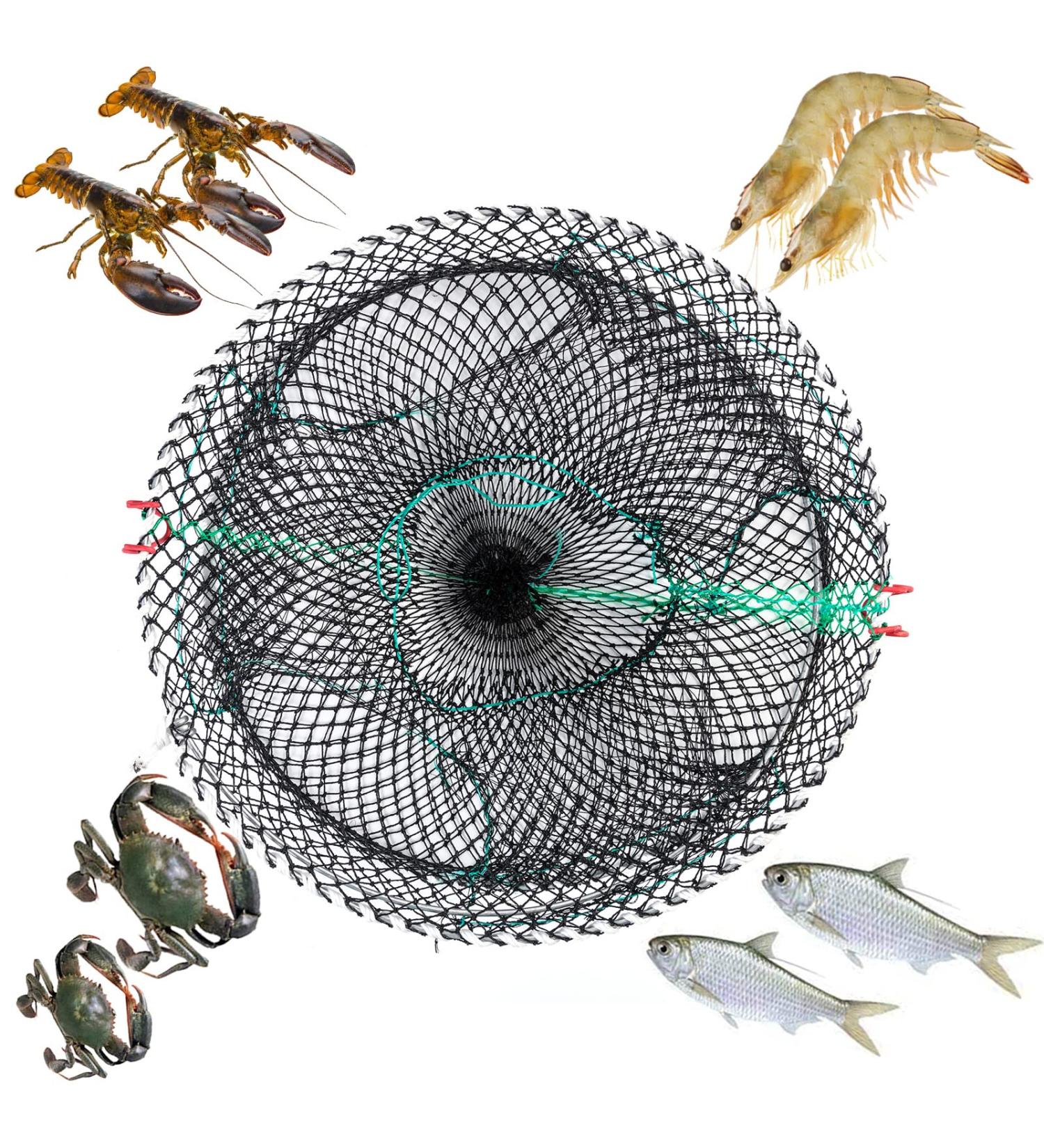 Anglerbasics Portable Crab Trap | Fish Trap for Minnow, Crawfish, Shrimp, Lobster | Bait Snare Trap (17.72x7.87) - Buy Online on GoSupps.com