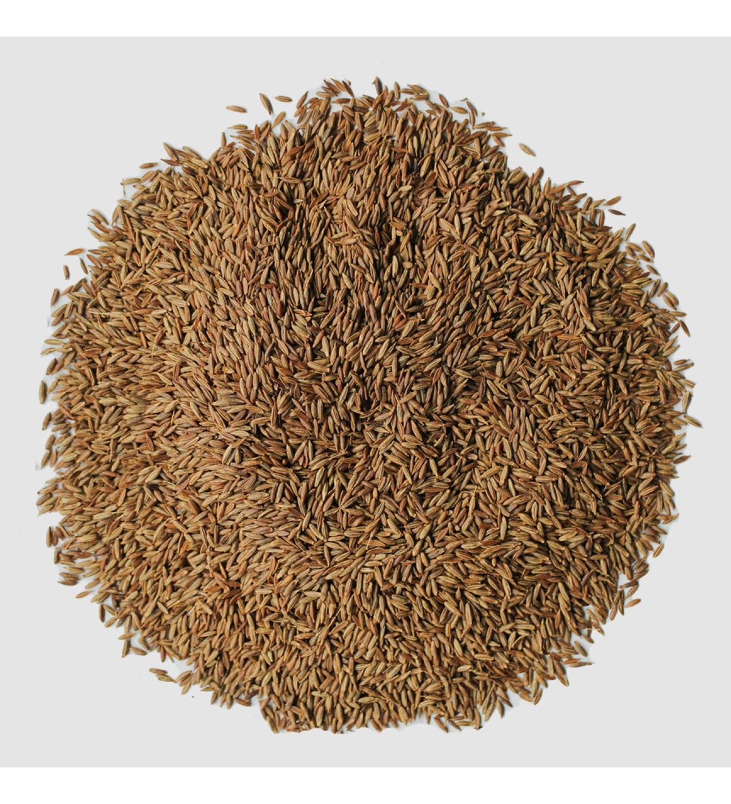 Roohts Cumin Seeds | 150g | Jeera | Whole | Organic | 100% Natural | Vegan | Premium Quality | Flavour | Spice | Aroma | Seeds | Cooking | Whole Spices | Kitchen Spices - Buy Online on GoSupps.com