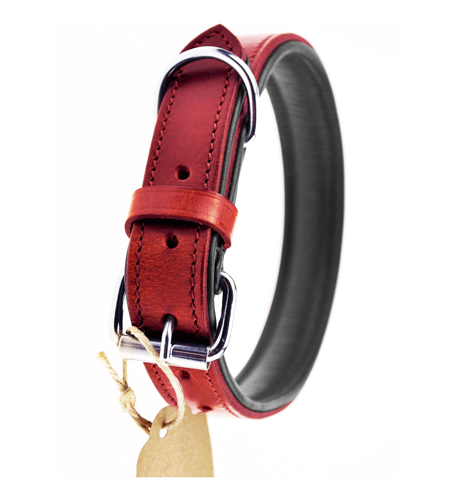 Premium XXL Leather Dog Collar - Padded & Robust Ideal for Large Medium & Small Dogs - Sniffing Fans Design in Red - Buy Online on GoSupps.com