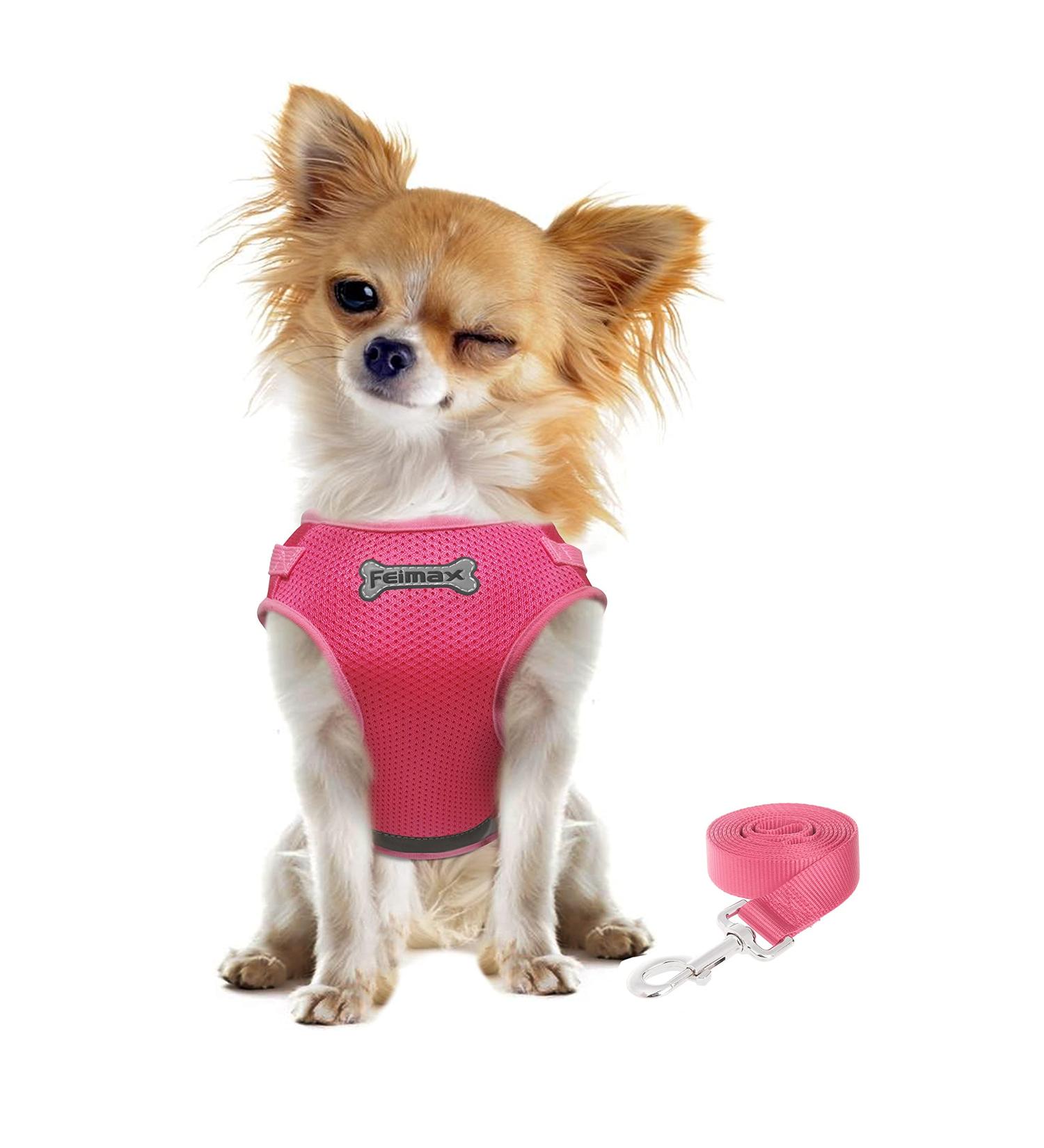 FEimaX Escape Proof Cat Harness and Leash Set - Adjustable Soft Mesh Vest for Outdoor Walking - Reflective Small Dog Cat Harness in Rose Pink - Size S (Chest Girth 10'' - 12'') - Buy Online on GoSupps.com
