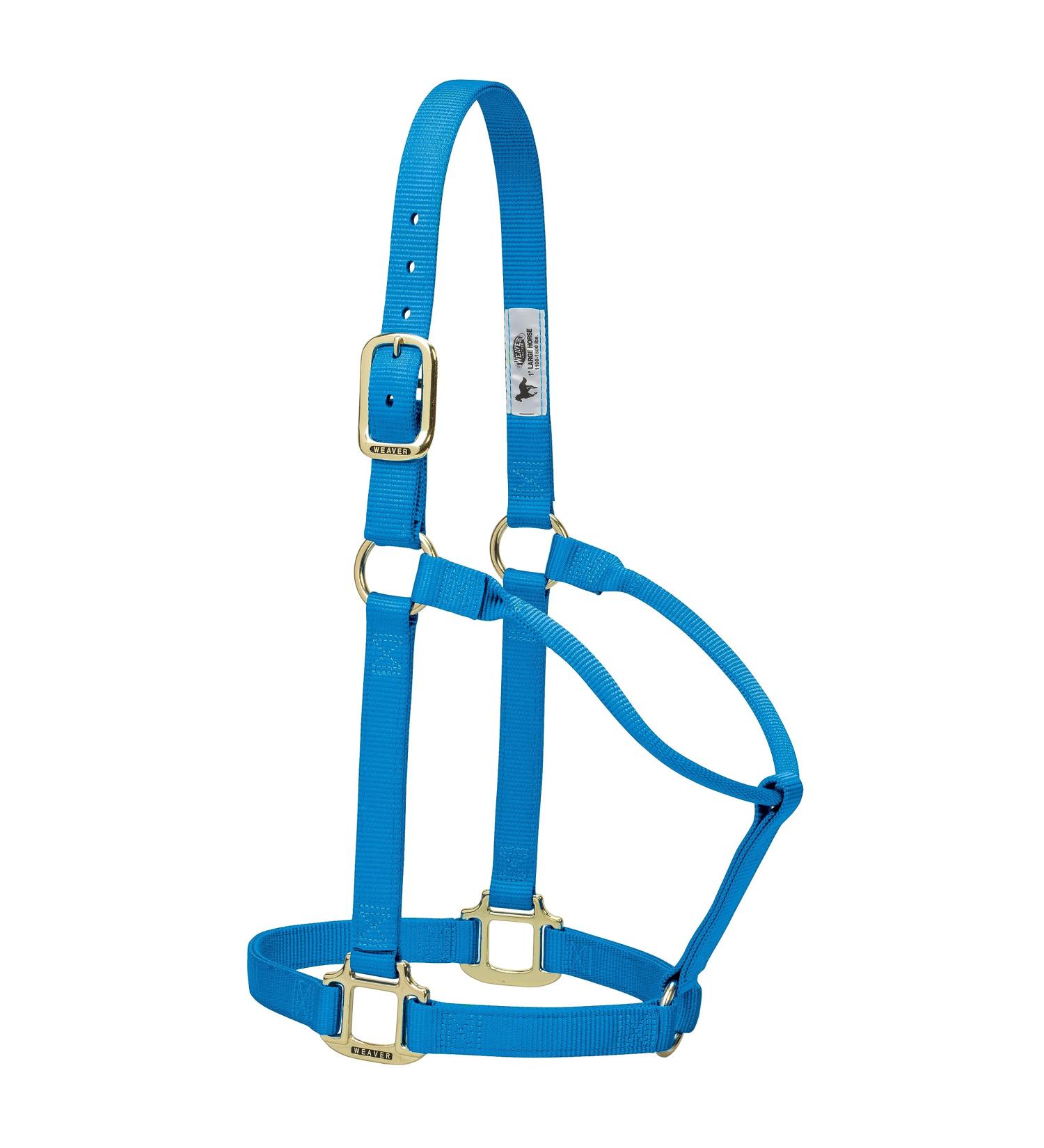 WEAVER Leather Non-Adjustable Halter in Hurricane Blue for Yearlings - Premium Quality & International Shipping - Buy Online on GoSupps.com