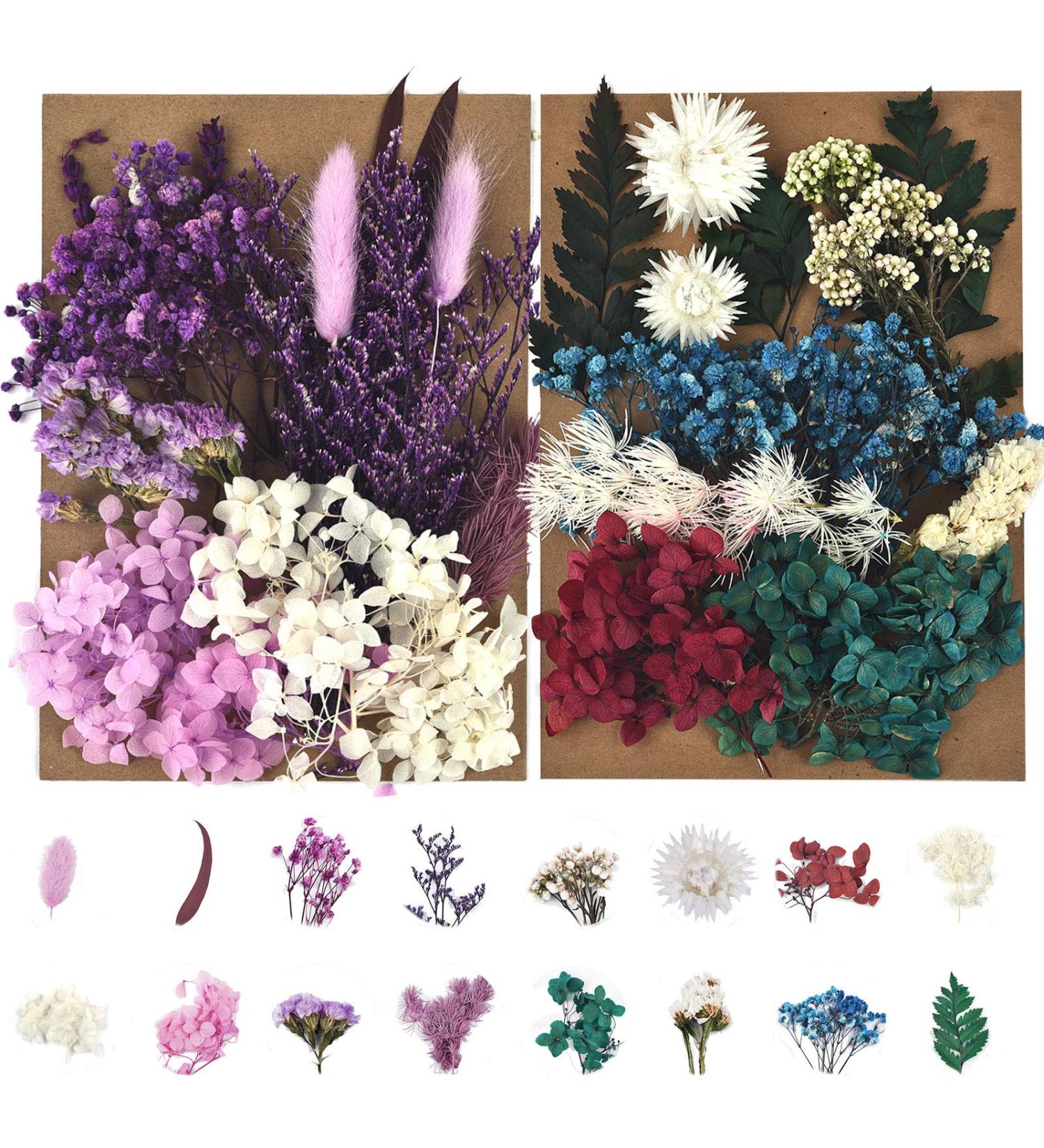 Dried Pressed Flowers Set for Soap Candle and Resin Jewelry Making - Purple Blue Assortment - Buy Online on GoSupps.com