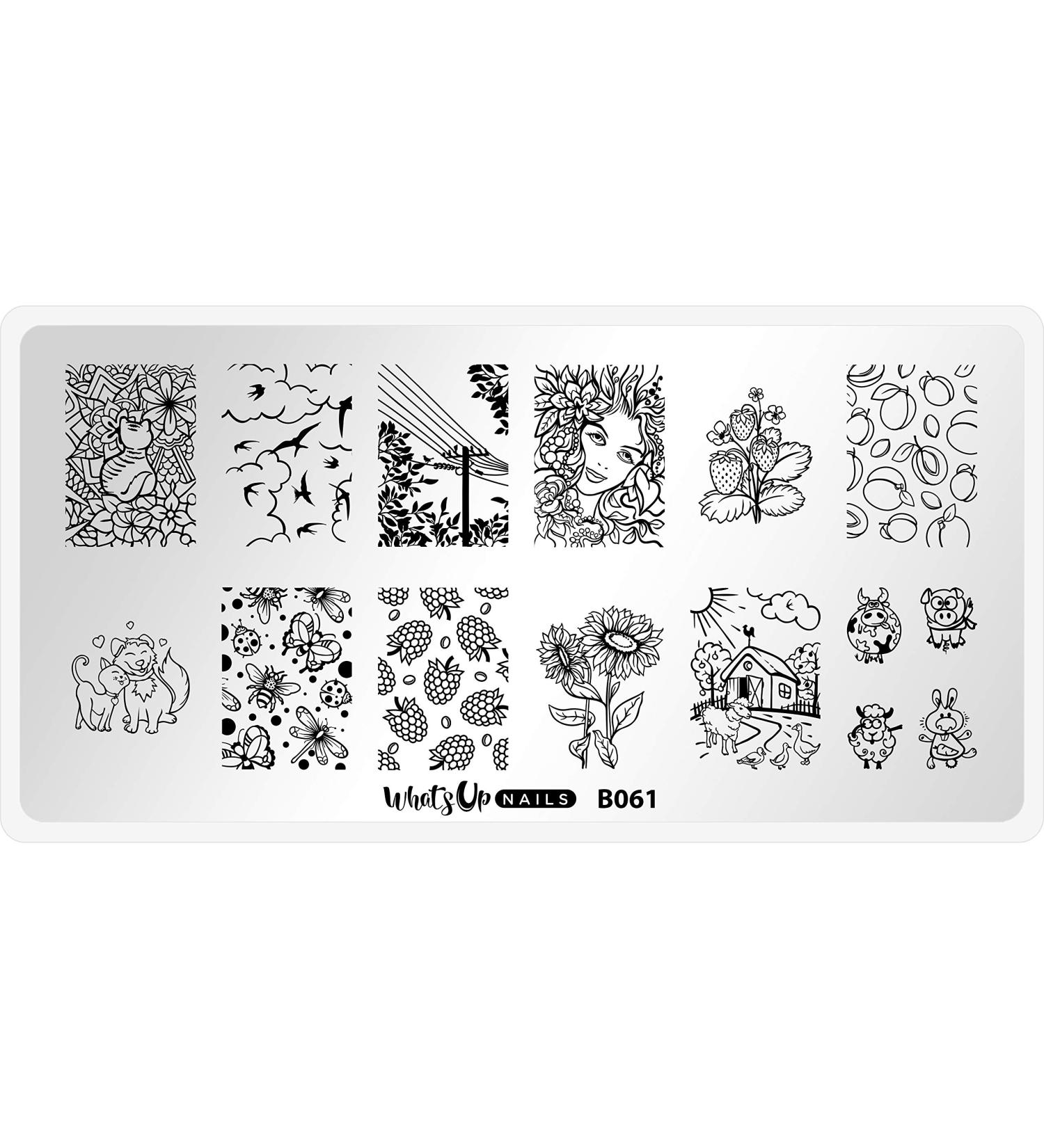 Whats Up Nails - B061 Summer in the Countryside Stamping Plate for Nail Art Design - Buy Online on GoSupps.com