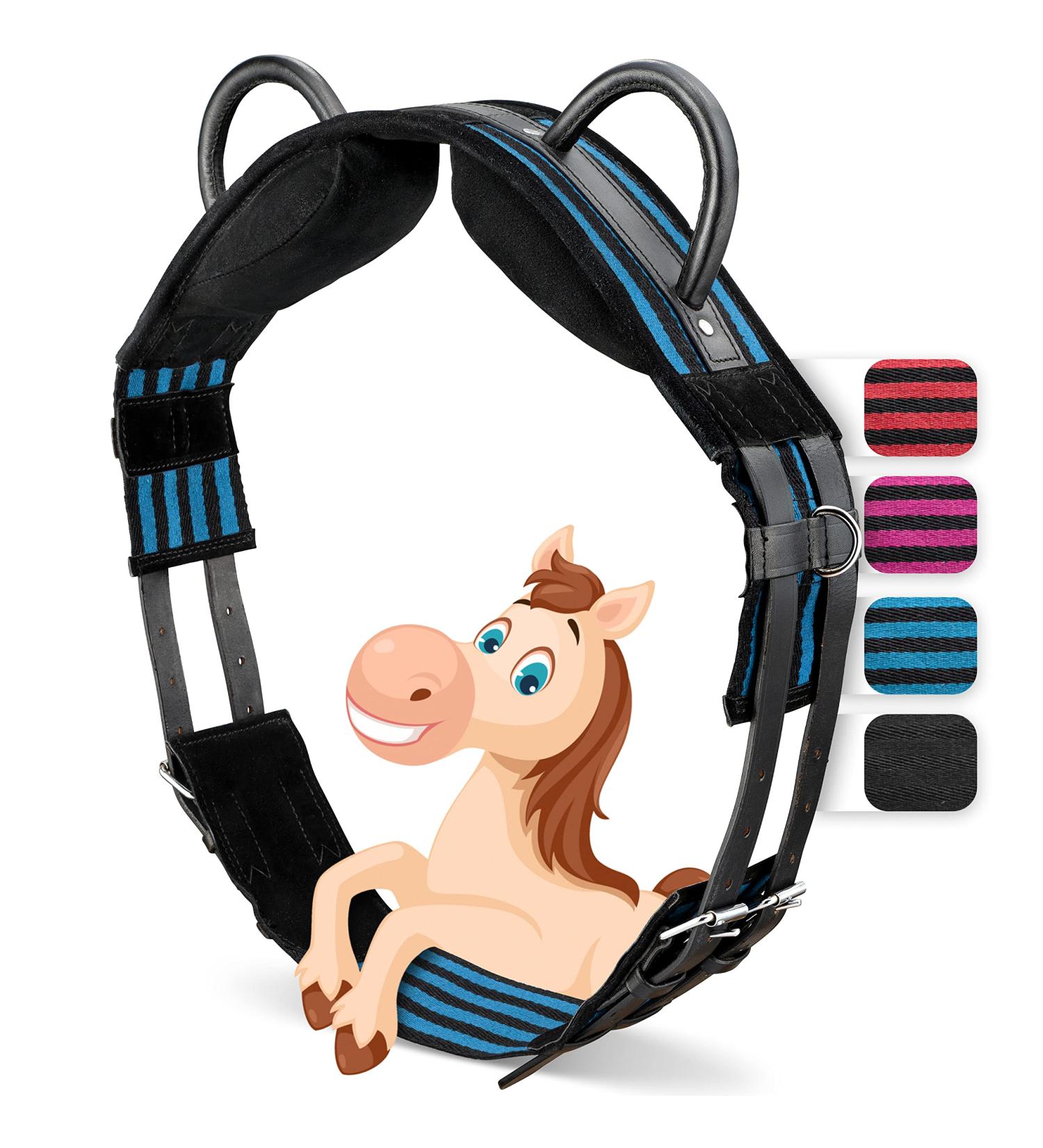 Esposita Riding Strap with Leather Handles | Child & Rider Safety | Versatile Lunging & Vaulting Belt | Blue-Black Accessories for Wooden Horses - Buy Online on GoSupps.com