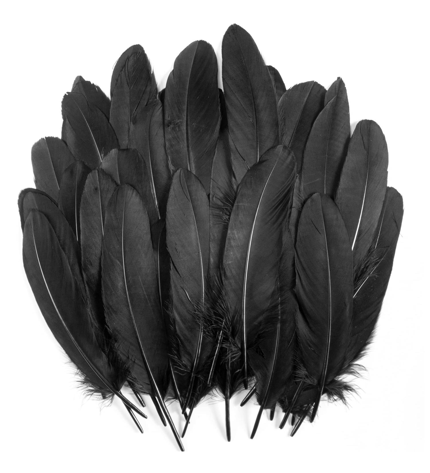 120Pcs 6-8 Inch Black Goose Feathers for DIY Halloween Decor, Cosplay & Crafts - Buy Online on GoSupps.com