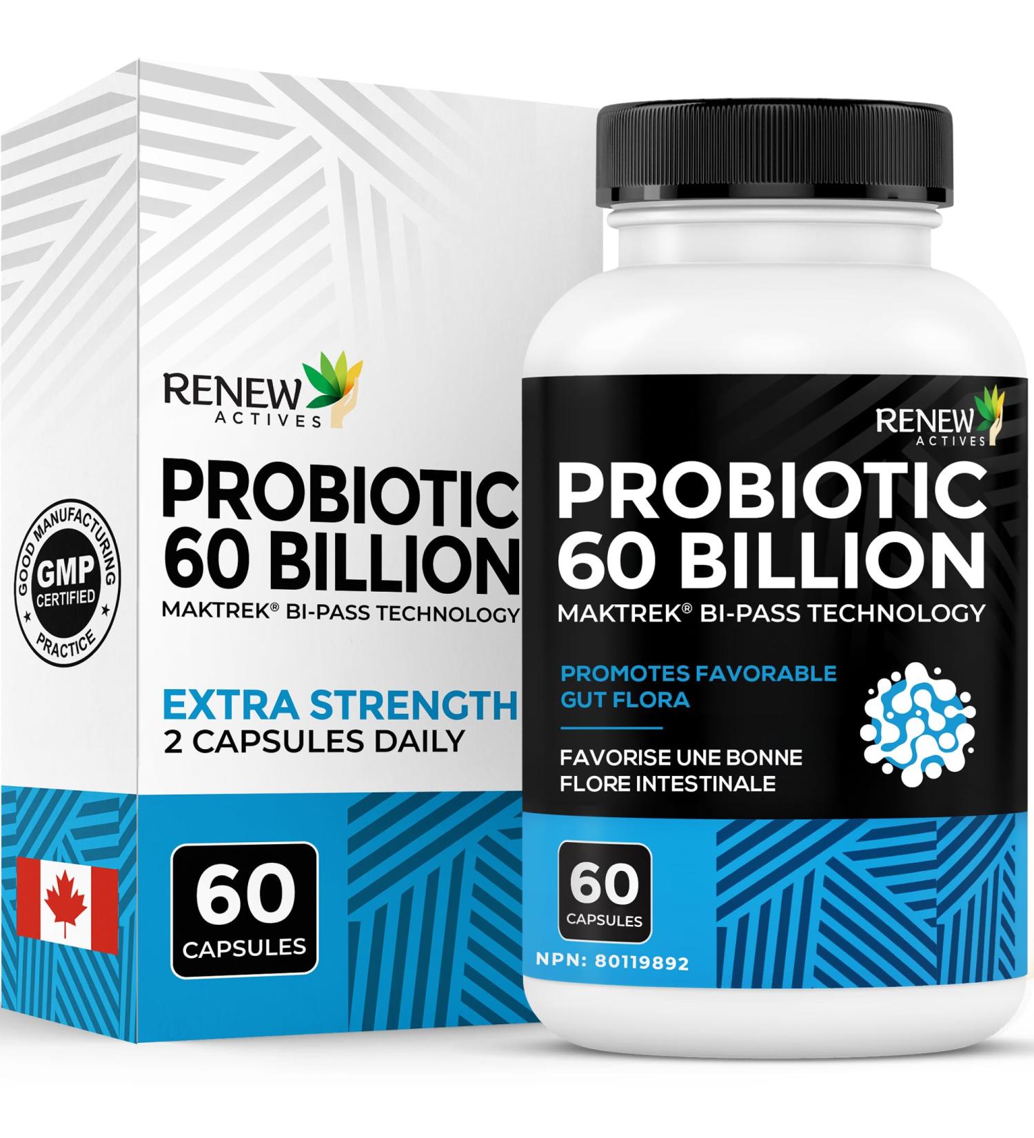 Renew Actives Probiotic Supplement for Digestive Health 60 Billion CFU per 2 Capsules - Advanced Formula with Prebiotic Benefits - Supports Gut Flora Balance & Wellness - Made in Canada - 60 Capsules - Buy Online on GoSupps.com
