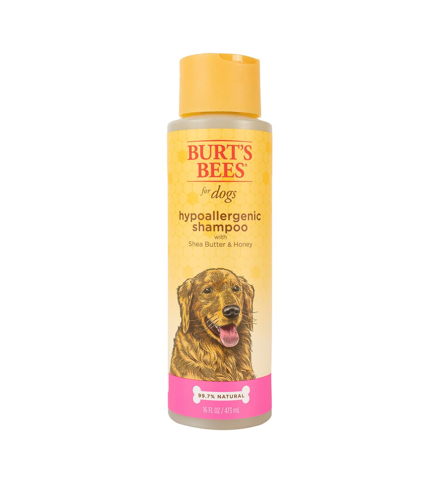 Burt's Bees Natural Hypoallergenic Dog Shampoo with Shea Butter and Honey - 16oz | For All Dogs and Puppies with Dry or Sensitive Skin | Made in USA - Buy Online on GoSupps.com