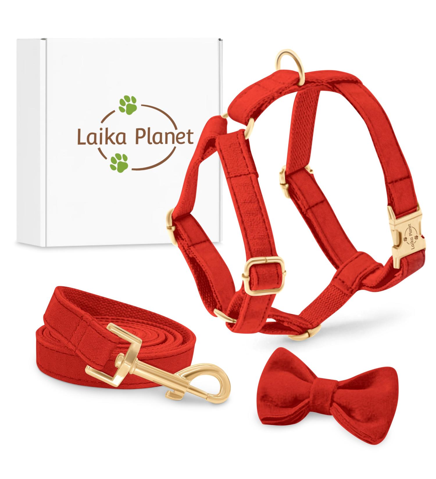 Premium H-Shaped Dog Harness with Multi-Position Leash & Velvet Loop - Ideal for Small Medium & Large Dogs (Red M) | Durable & Comfortable - Buy Online on GoSupps.com