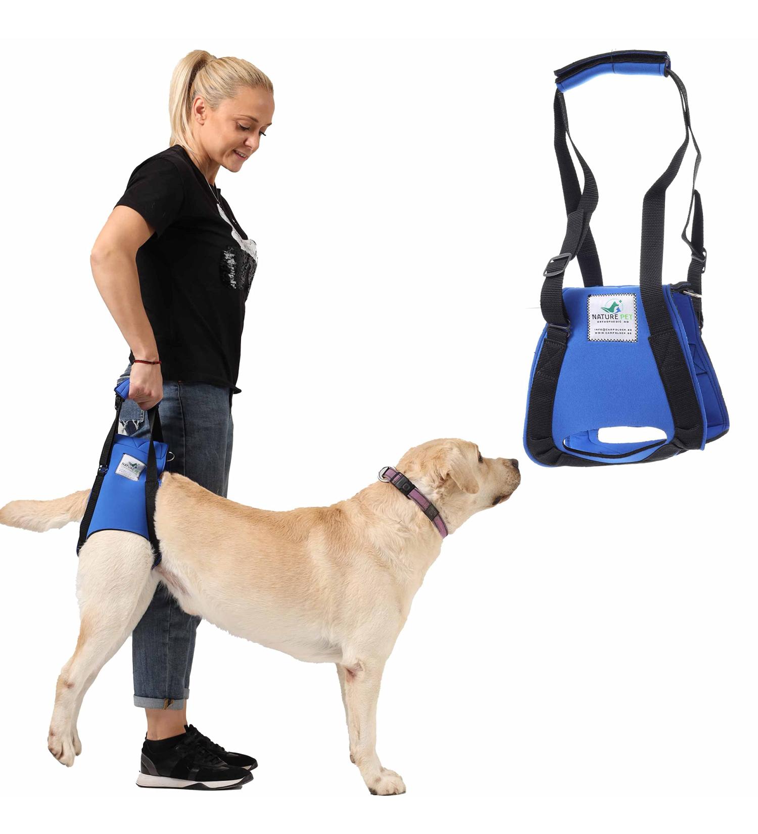 Premium XL Blue Dog Rehabilitation Aid - Neoprene Walking Support for Spine Hip & Knee Issues | From Nature Pet - Buy Online on GoSupps.com