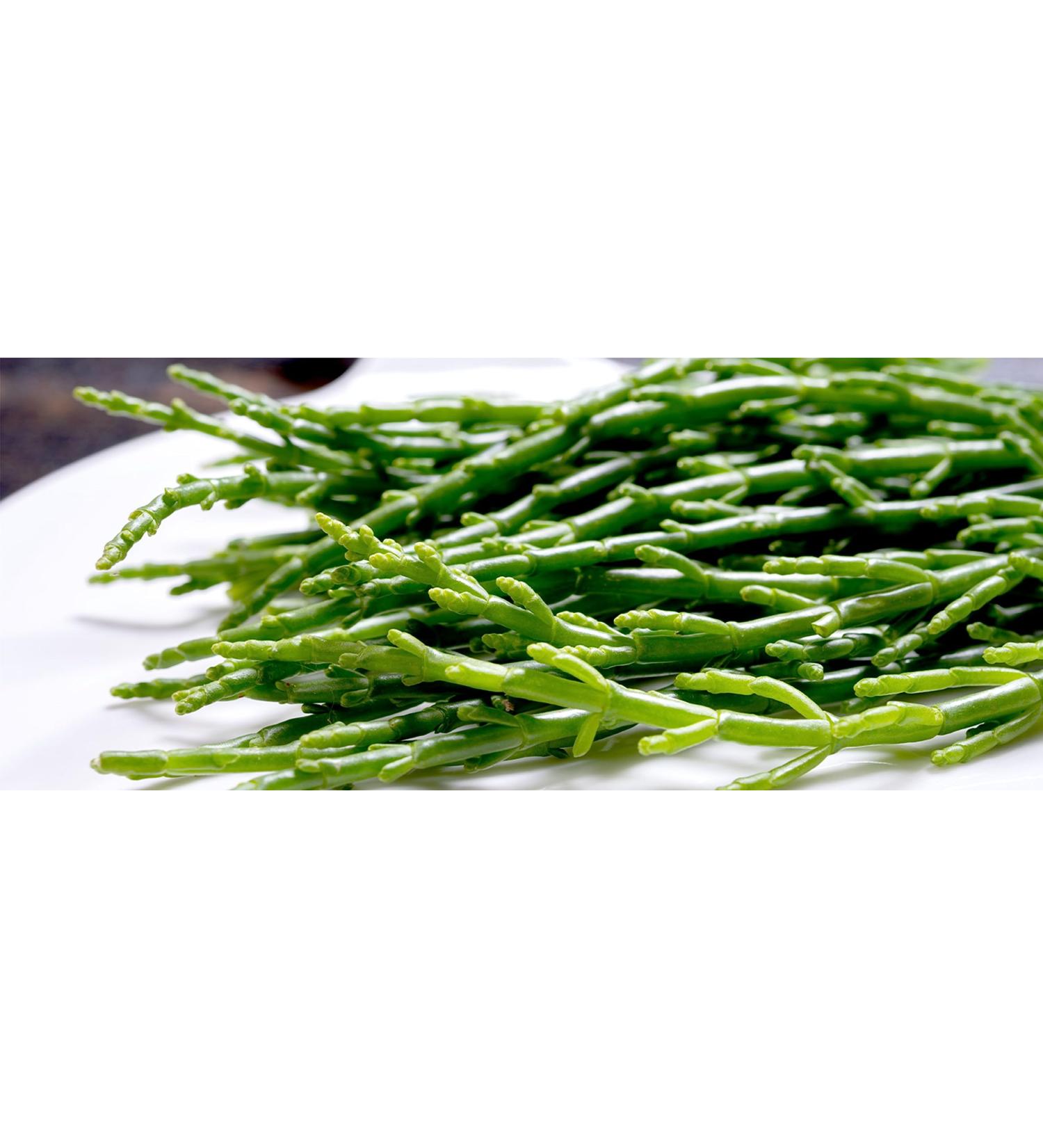 Samphire/Salicornia (100g x2) Ideal for Salads Steaks Fish dishes and much more.sea samphire. it's delicious and unique. - Buy Online on GoSupps.com