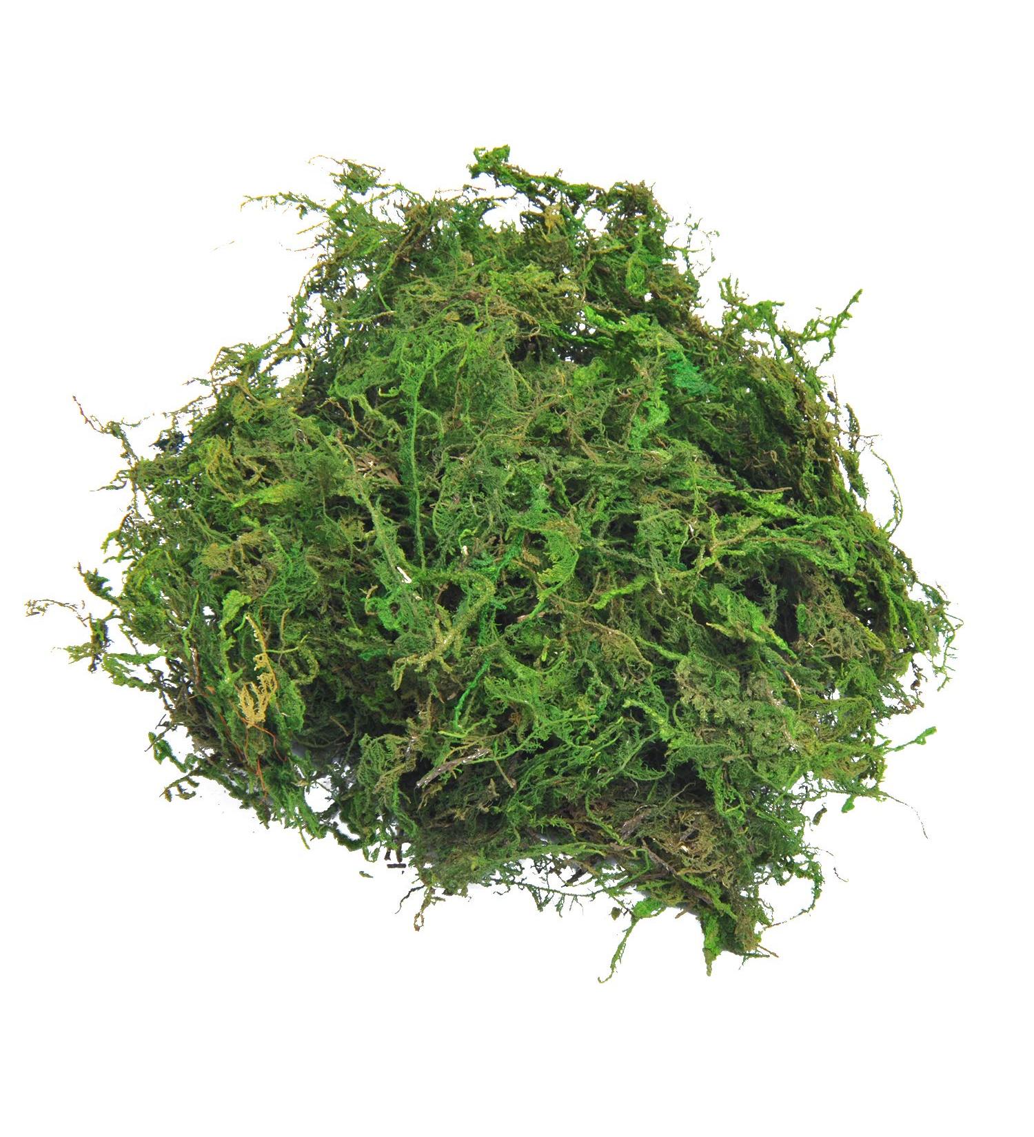 Topcomww Artificial Green Moss for Plant Crafts & Flower Centerpieces - 3.5oz - Buy Online on GoSupps.com