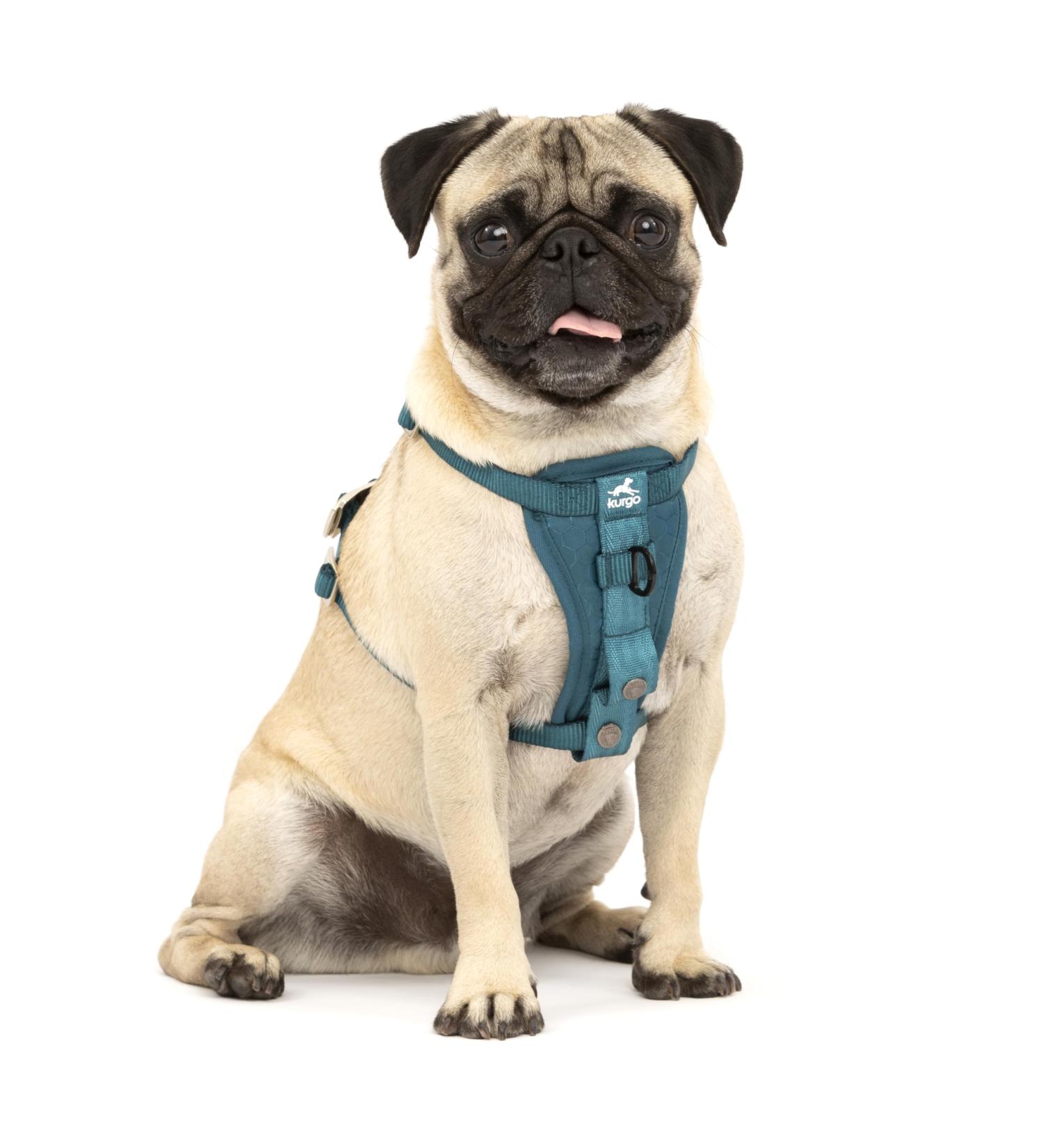 Kurgo Tru-Fit Dog Harness - Crash Tested Car Seat Belt for Small Dogs (2-5 kg) - Size S - Ink Blue - Buy Online on GoSupps.com