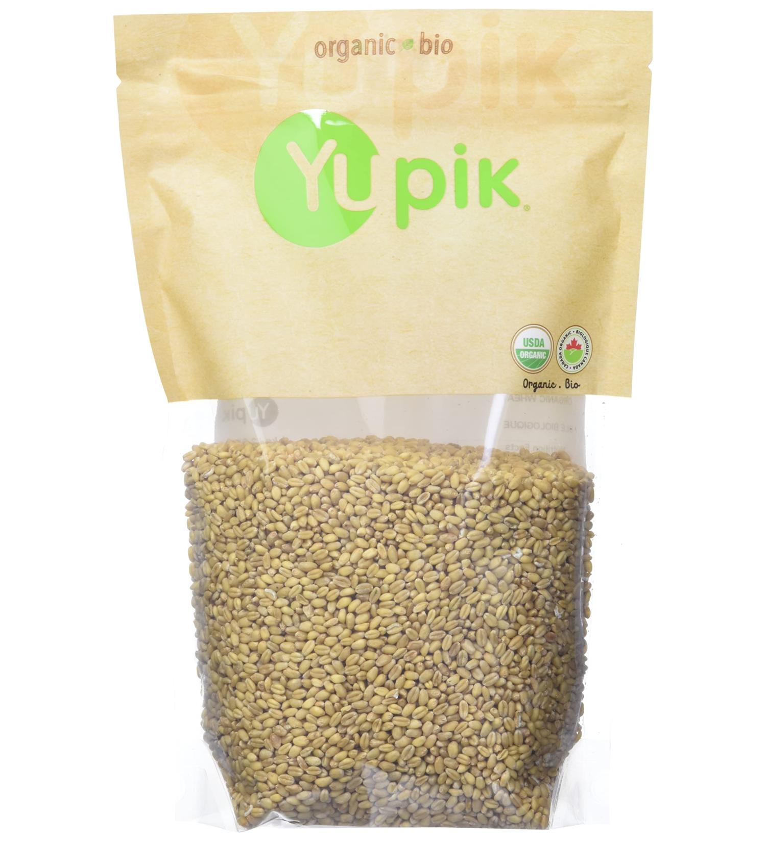 Yupik Organic Wheat 1 kg 6 Count Non-GMO Vegan Kosher Raw Whole Grains Salt-Free Oil-Free Source of Fiber Sprouts Easily Ideal for Baking & Cooking 6 kg - Buy Online on GoSupps.com