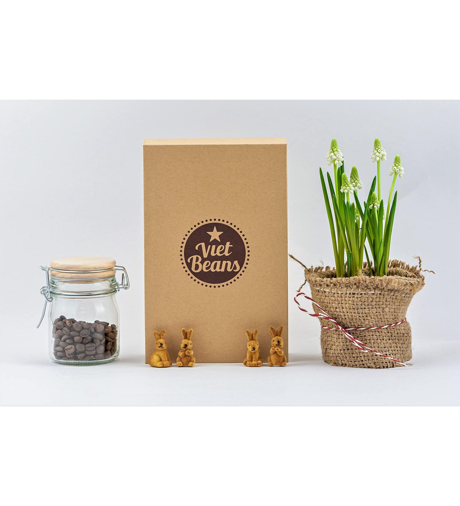 Vietbeans Trial Set - 4 Exclusive Ground Coffee Specialties | Perfect Coffee Gift Set for Coffee Lovers - 320g Chocolate Pack - Buy Online on GoSupps.com