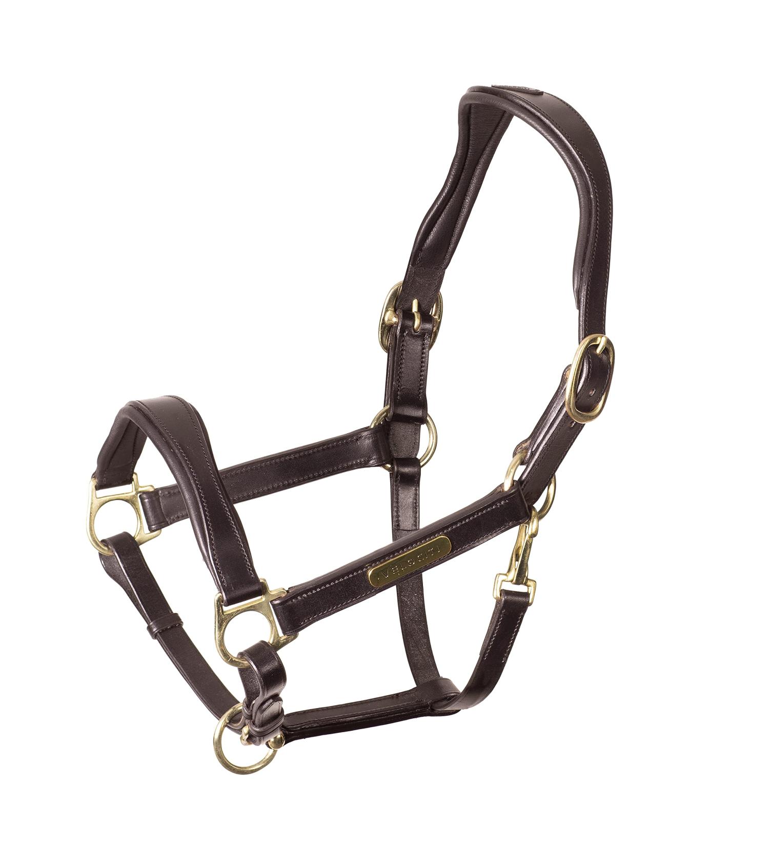 Shires Rapida Cushioned Leather Heacollar - Black & Havana Havana Cob